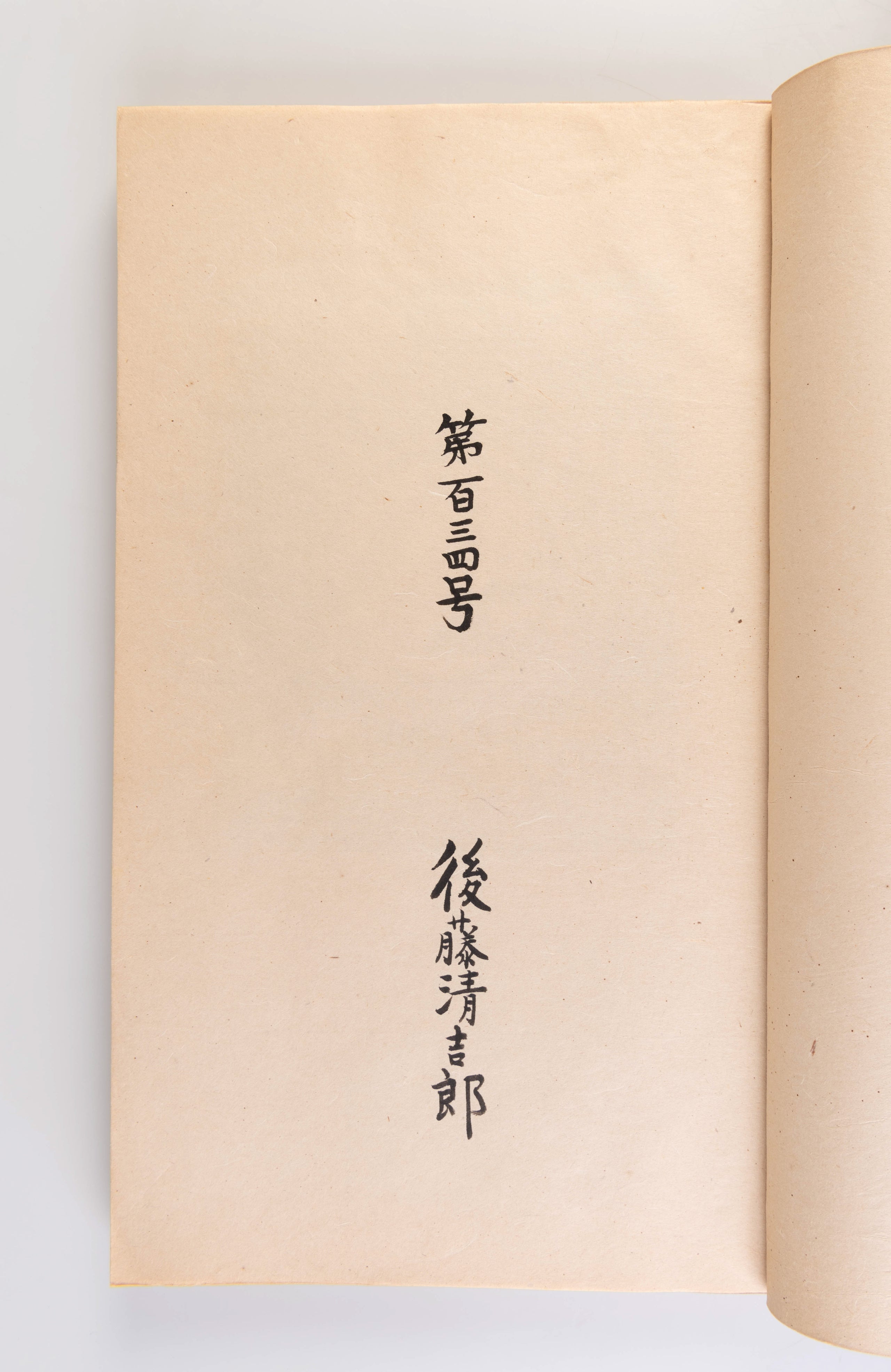 Nihon no kami: nishi nihon: Japanese Hand-Made Paper (Western Japan)