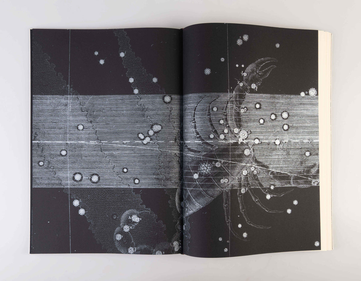 Ur-Text Vol. II: Speculum Mundi