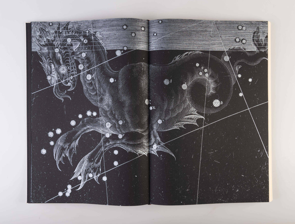Ur-Text Vol. II: Speculum Mundi