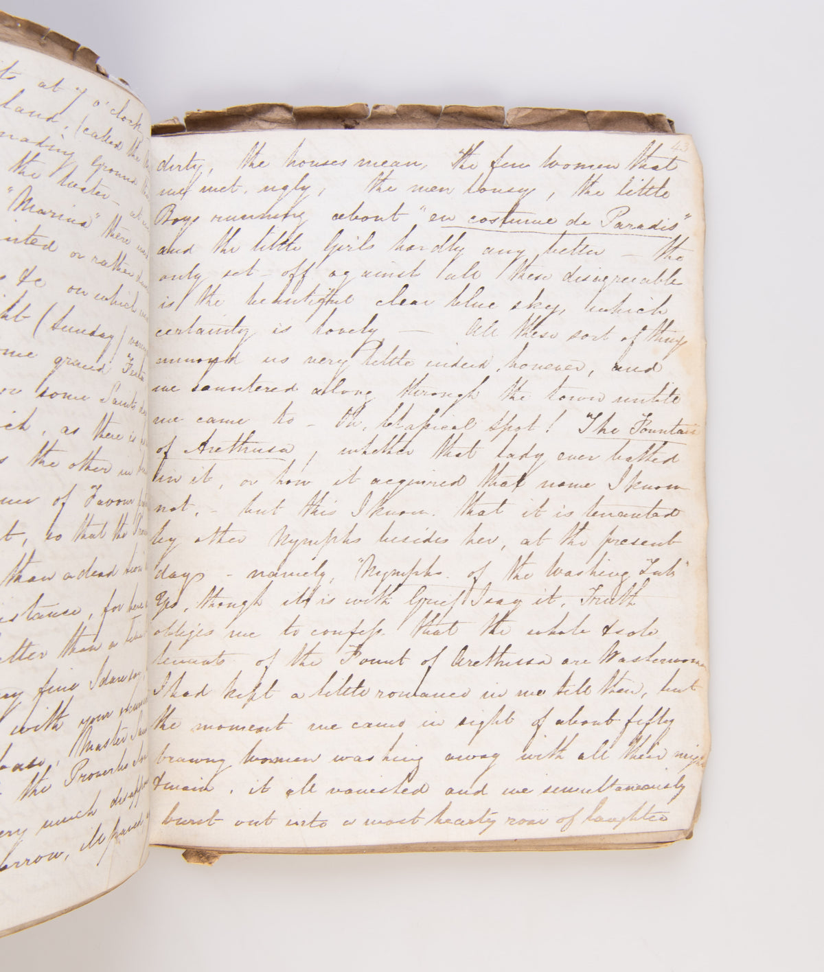 Manuscript diary of a British Naval Officer aboard HMS 'Revenge' During the Egyptian-Ottoman War.