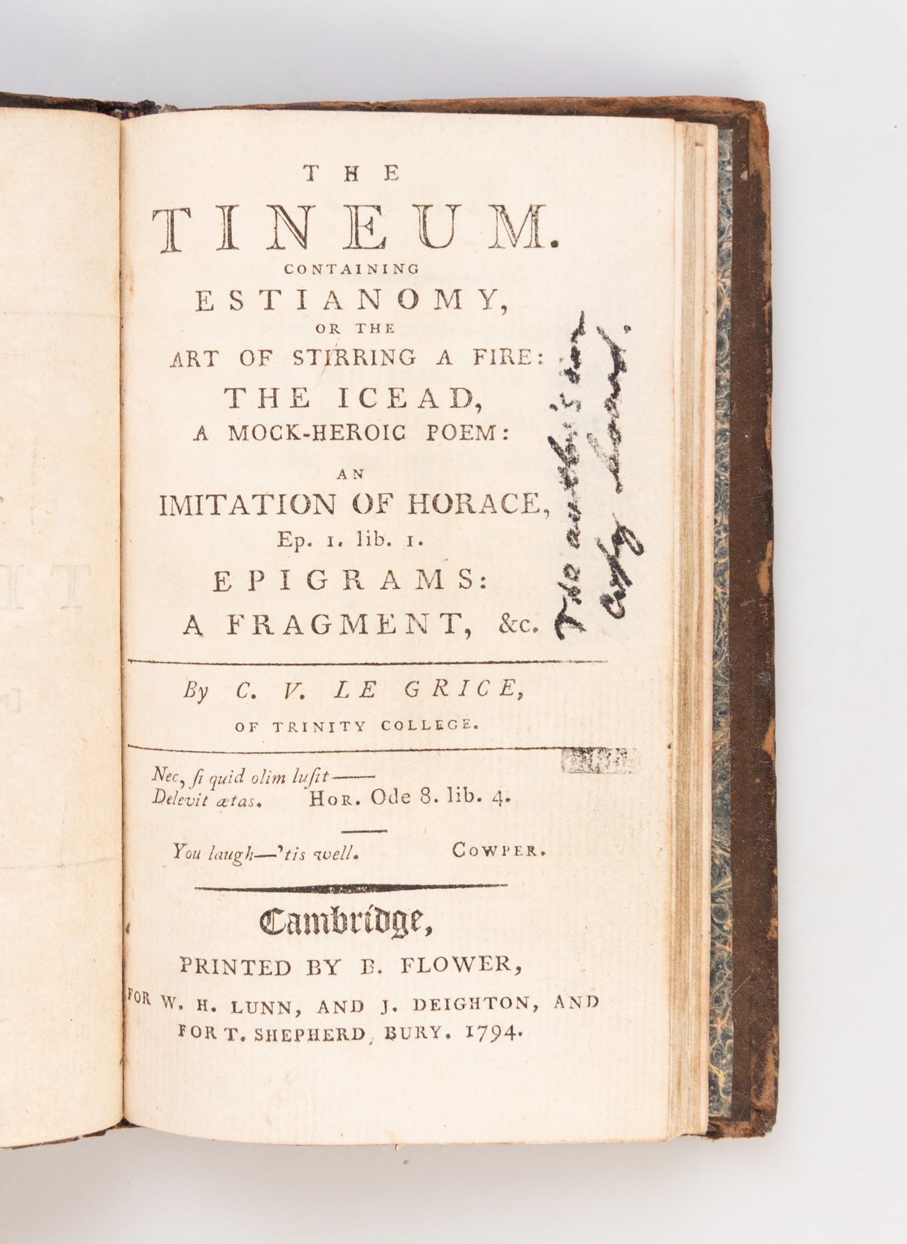 The Tineum,