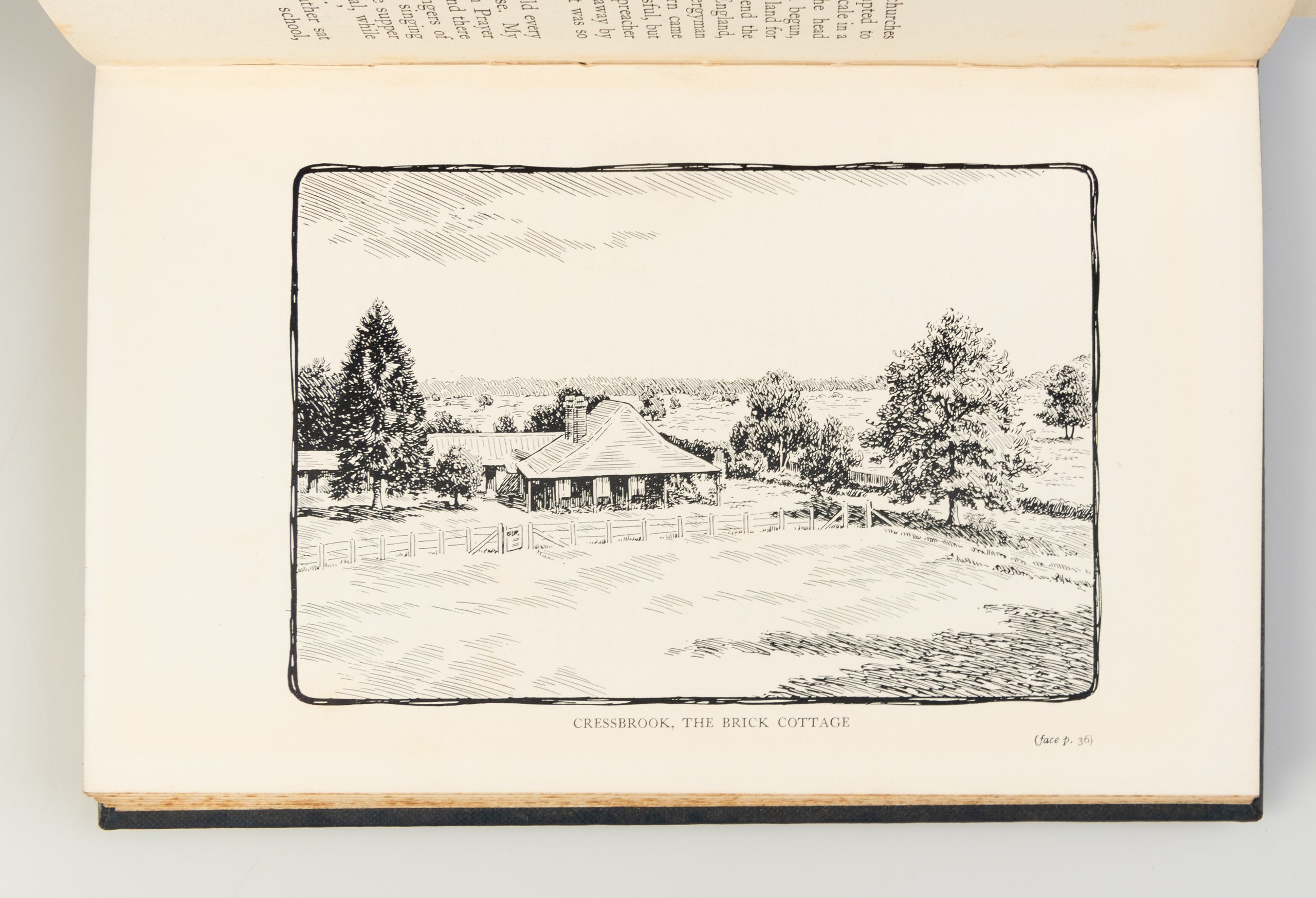 Memories of Pioneer Days in Queensland.