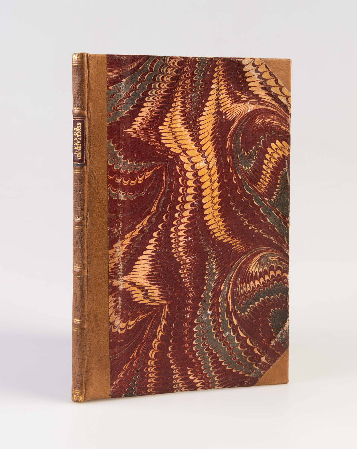 Observations Générales D'Histoire Naturelle faites pendant un voyage dans les Montagnes-Bleues de la Nouvelle-Galles du Sud.