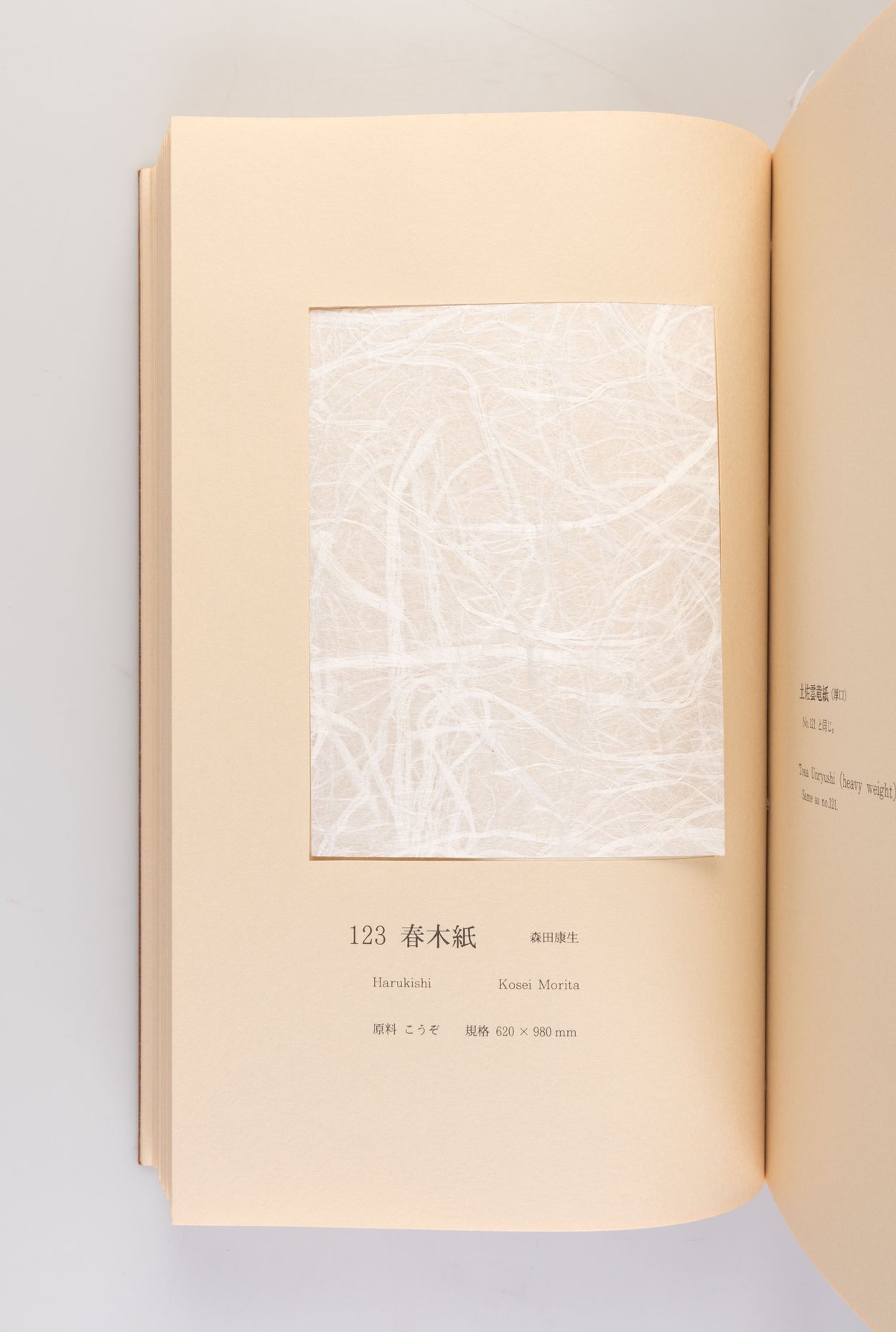 Tosa Washi