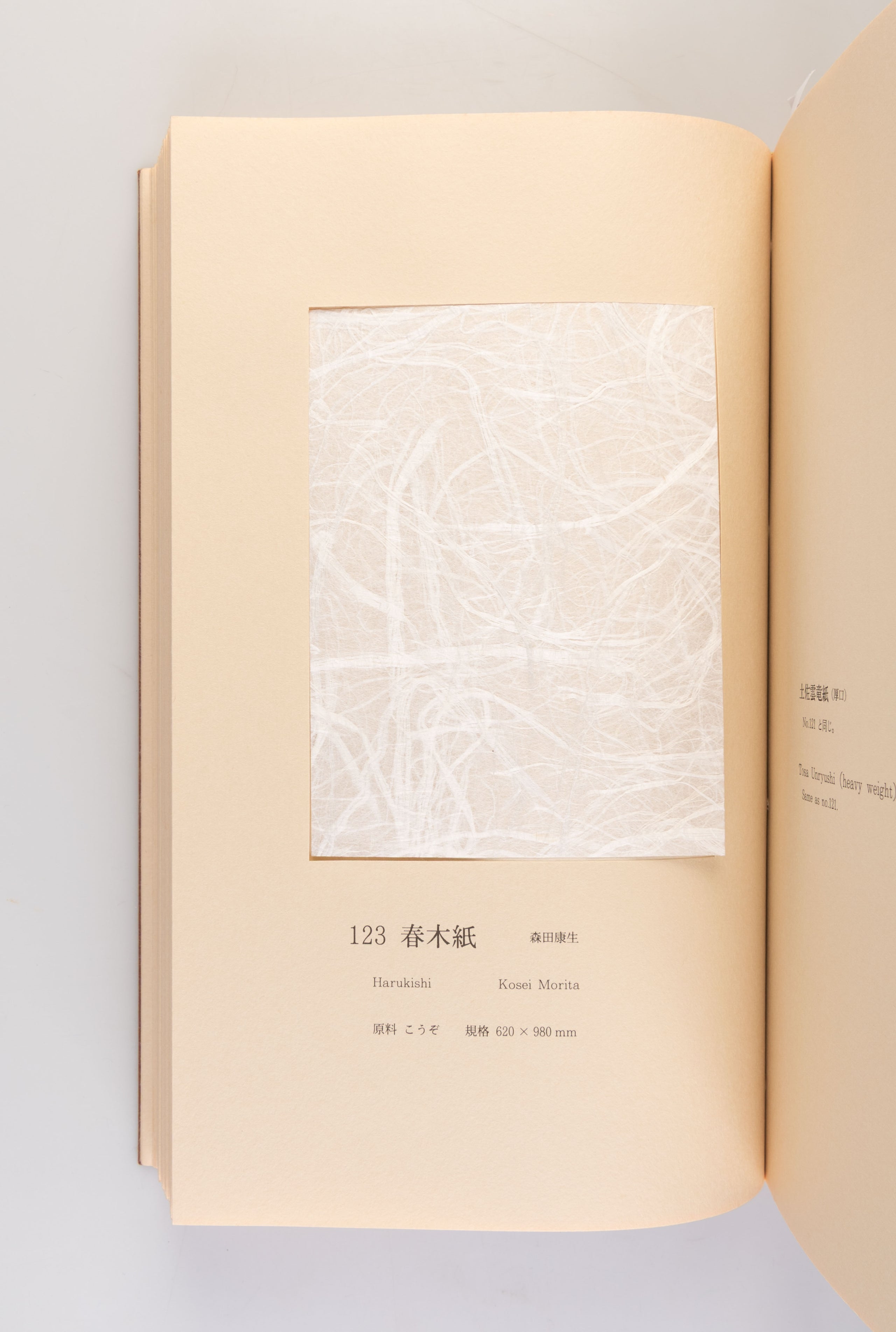 Tosa Washi