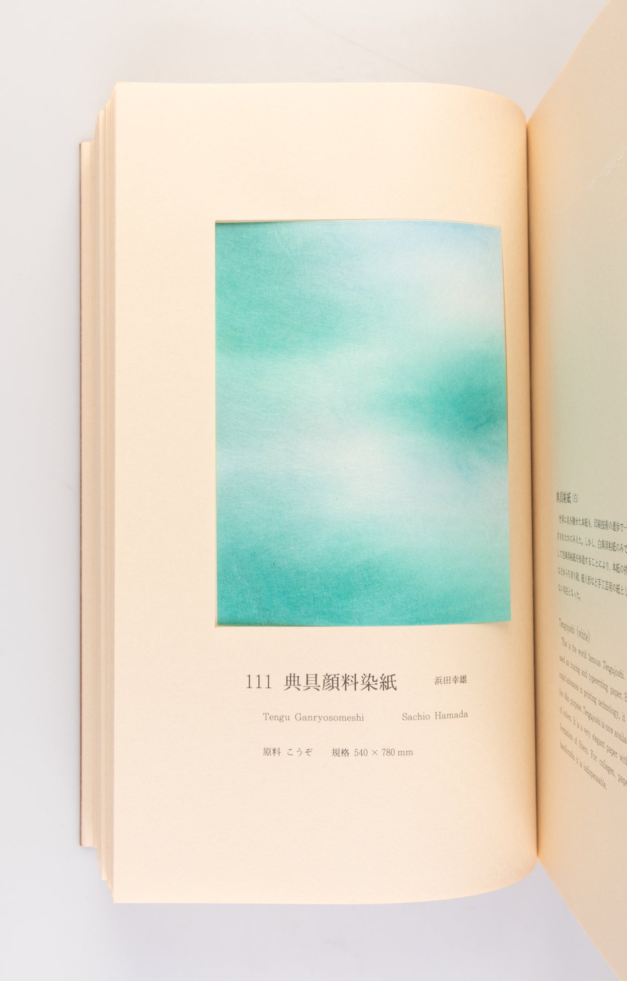 Tosa Washi