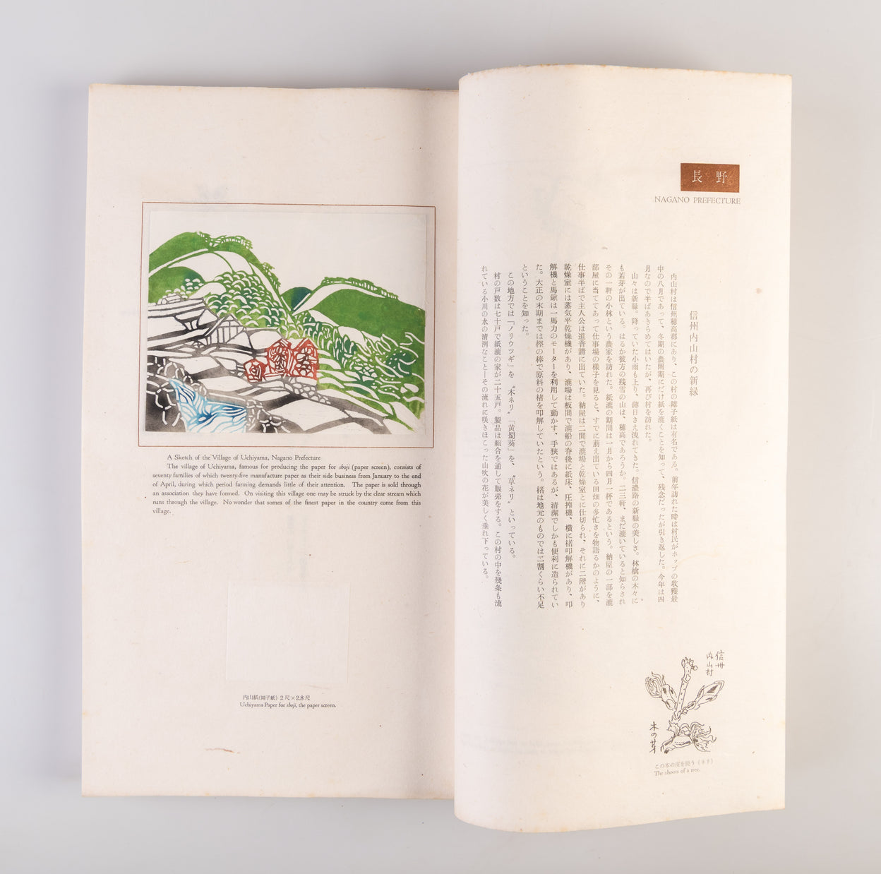 Nihon no kami: higashi nihon • nishi nihon [Japanese paper: Eastern and Western Japan]
