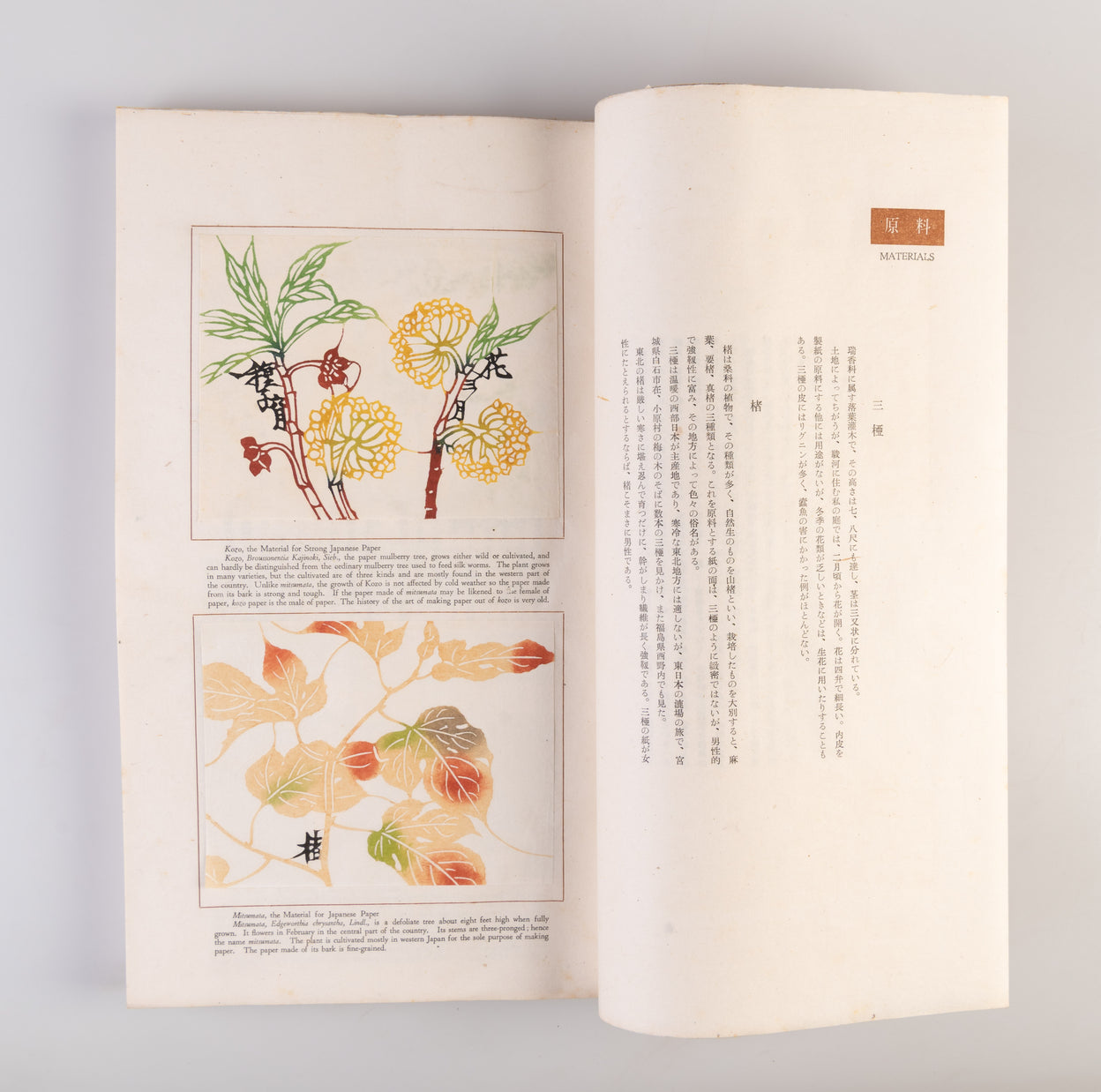 Nihon no kami: higashi nihon • nishi nihon [Japanese paper: Eastern and Western Japan]