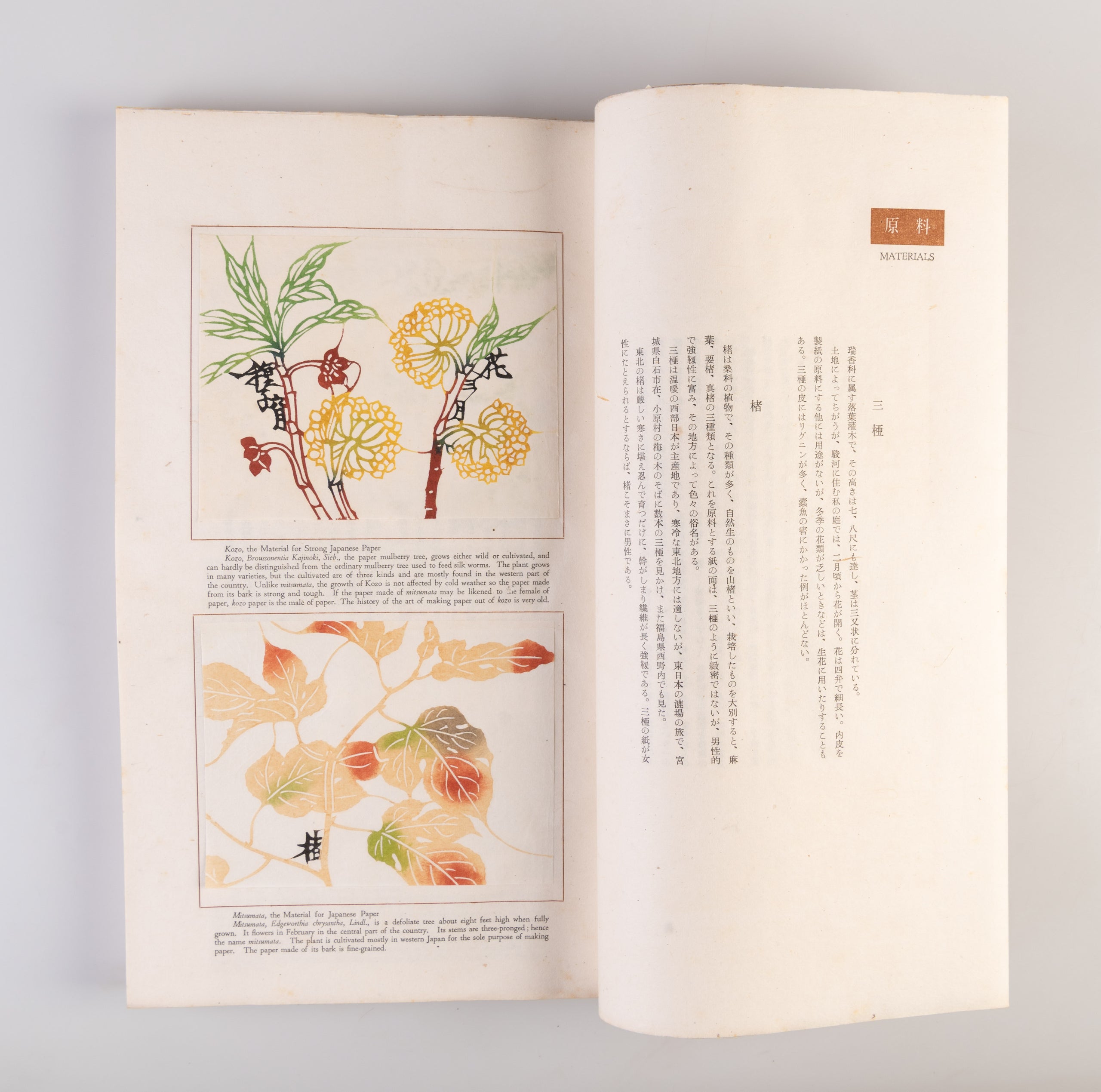 Nihon no kami: higashi nihon • nishi nihon [Japanese paper: Eastern and Western Japan]