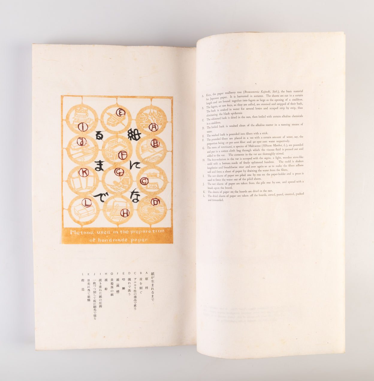 Nihon no kami: higashi nihon • nishi nihon [Japanese paper: Eastern and Western Japan]