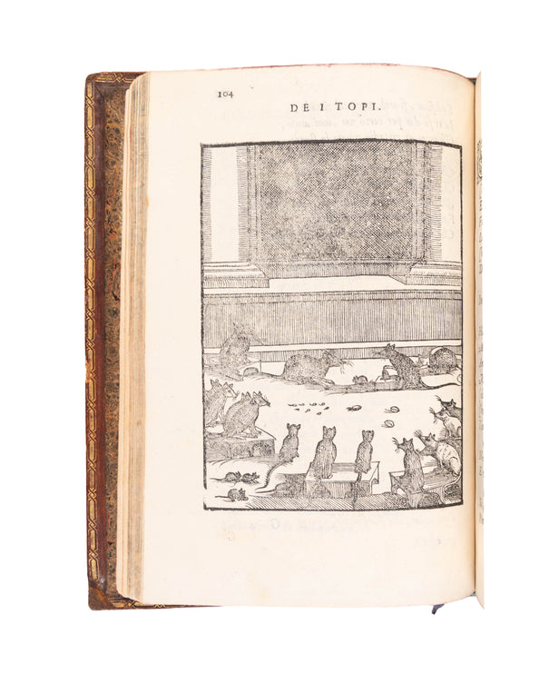 Cento favole morali de i piu illustri antichi & moderni autori Greci, & Latini.
Venice, Franceso Ziletti, 1586