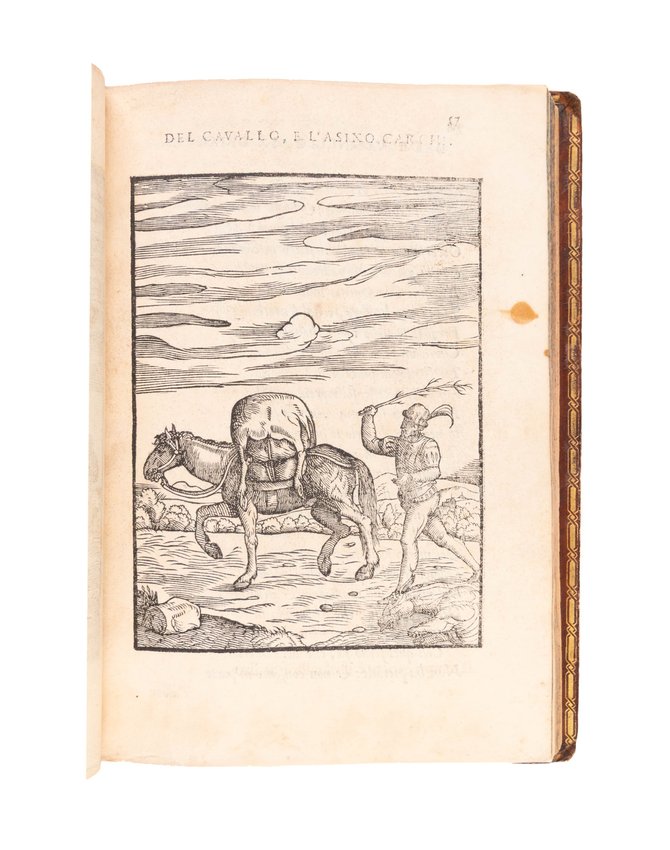 Cento favole morali de i piu illustri antichi & moderni autori Greci, & Latini.
Venice, Franceso Ziletti, 1586