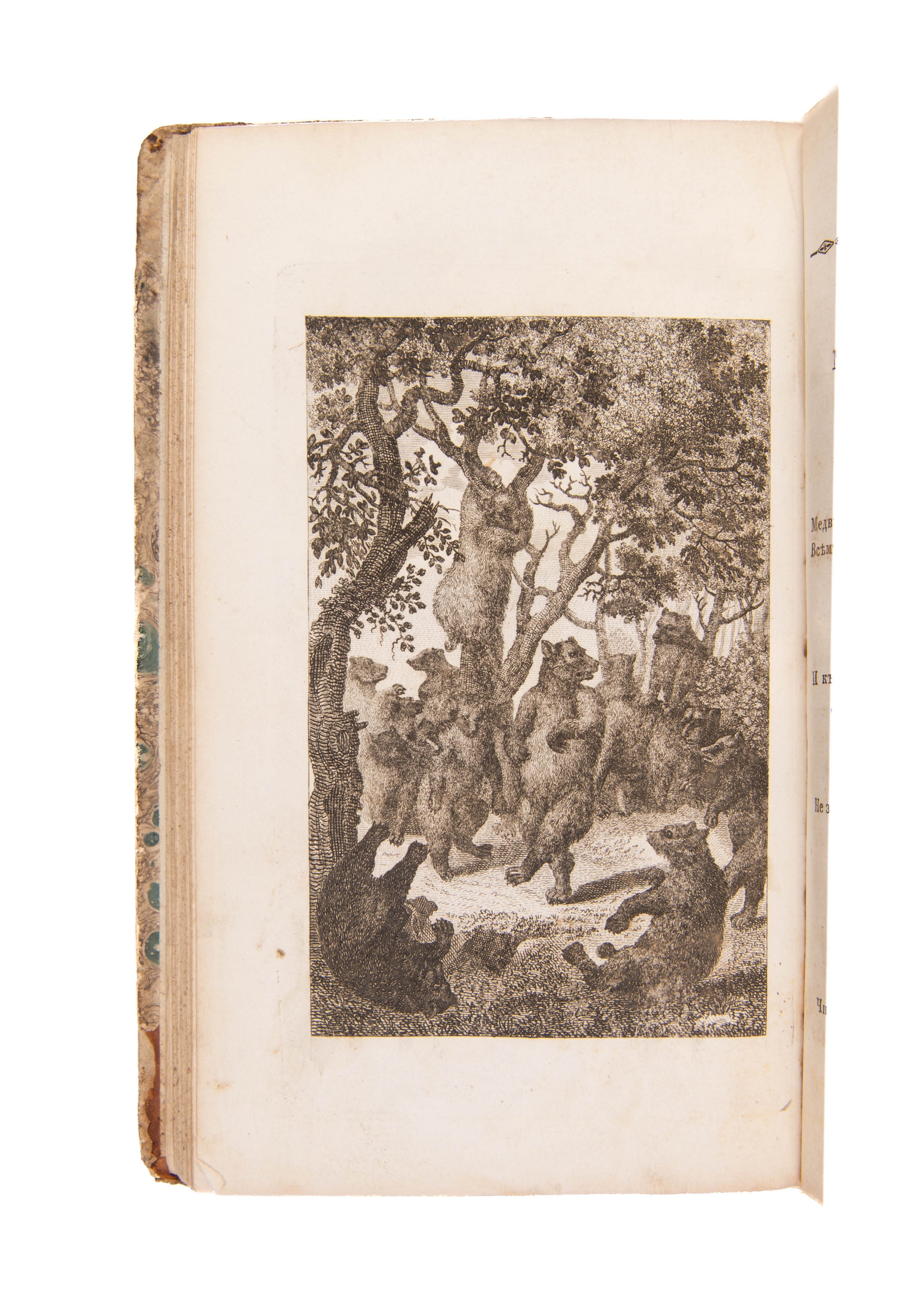 Basni i skazki [Fables and Tales...in three parts]