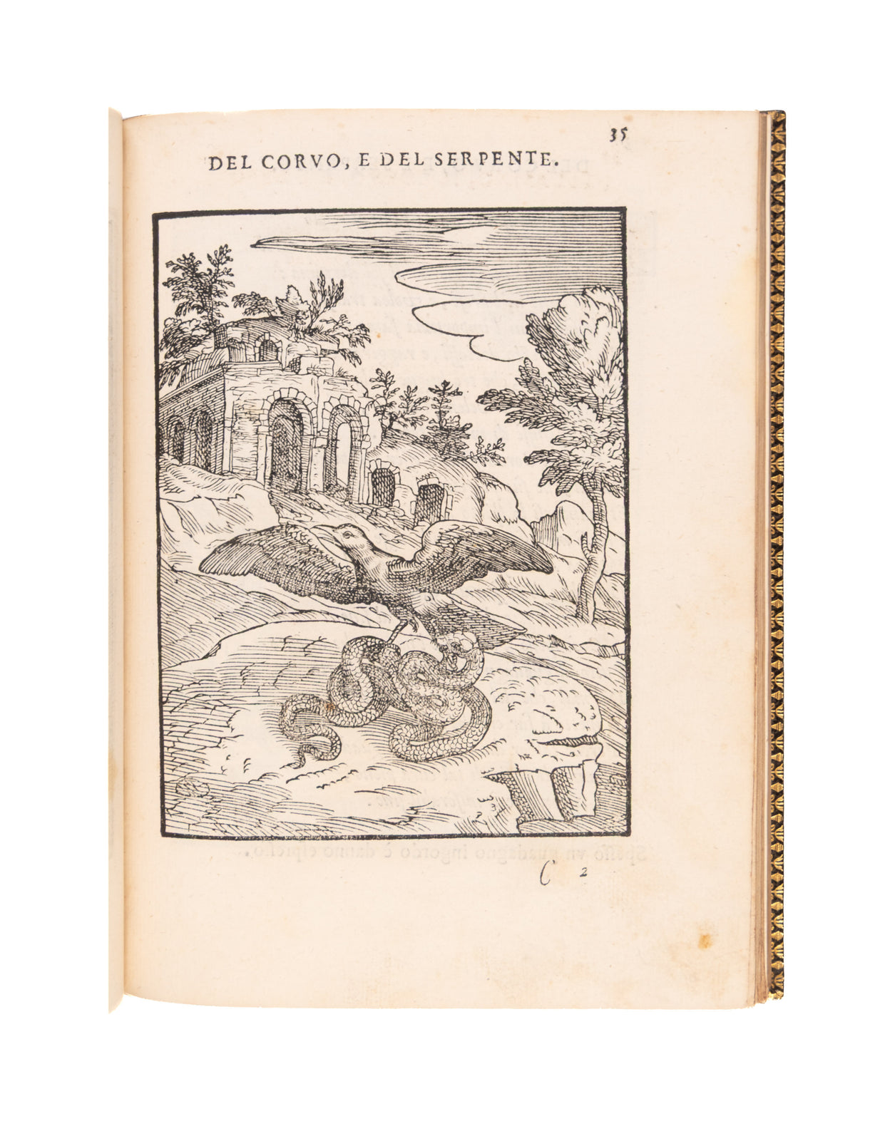 Cento favole morali de i piu illustri antichi & moderni autori Greci, & Latini.