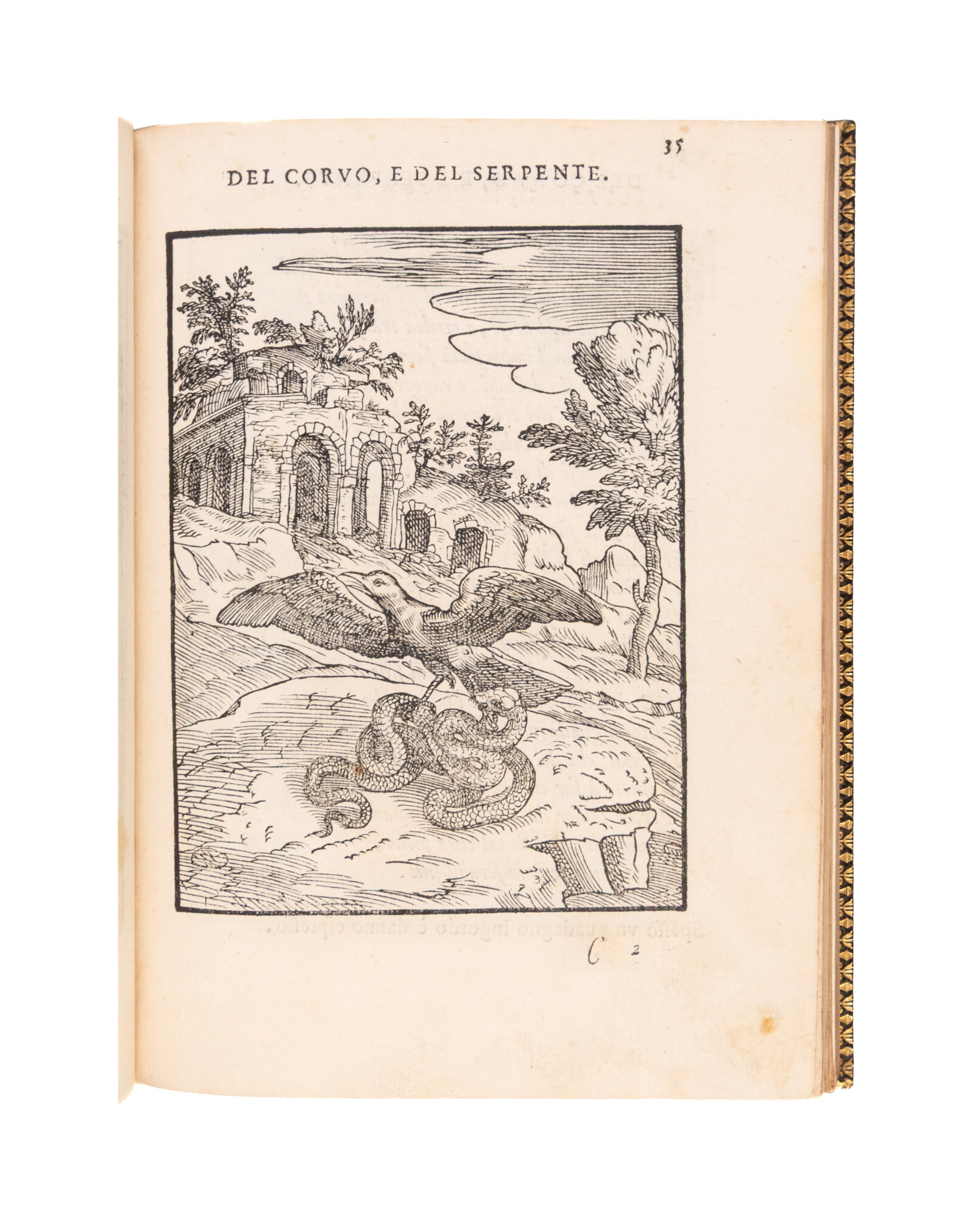 Cento favole morali de i piu illustri antichi & moderni autori Greci, & Latini.