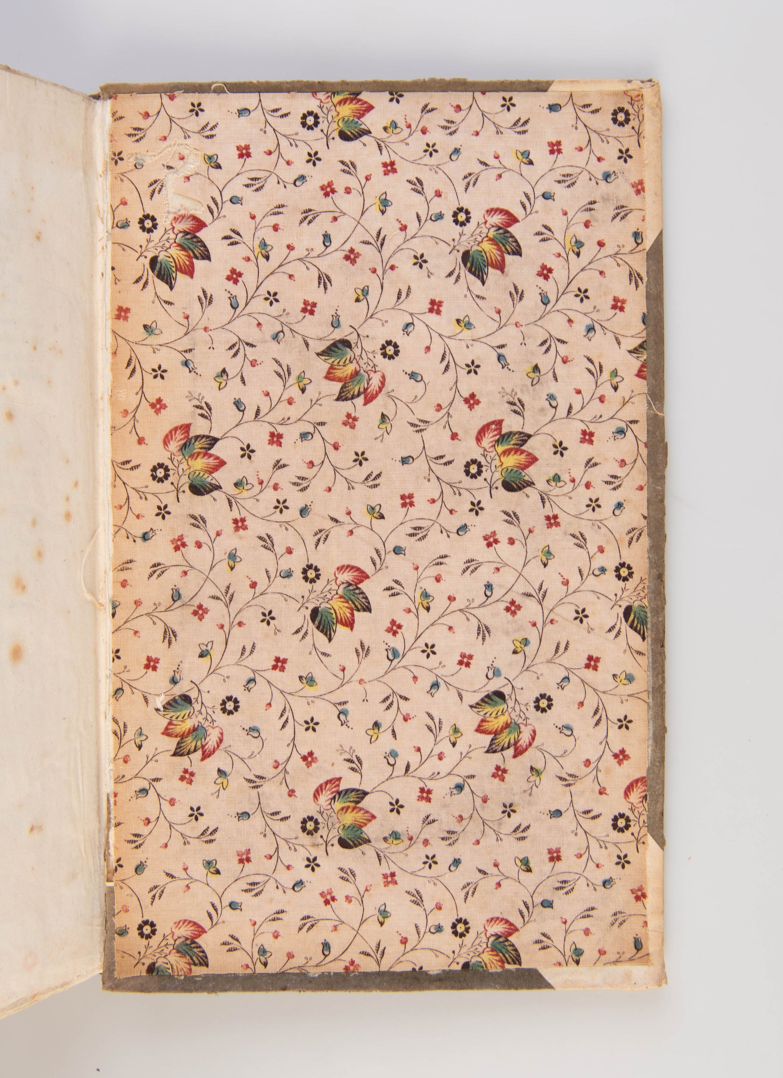 Narrative of a Tour Through Hawaii, or, Owhyhee;