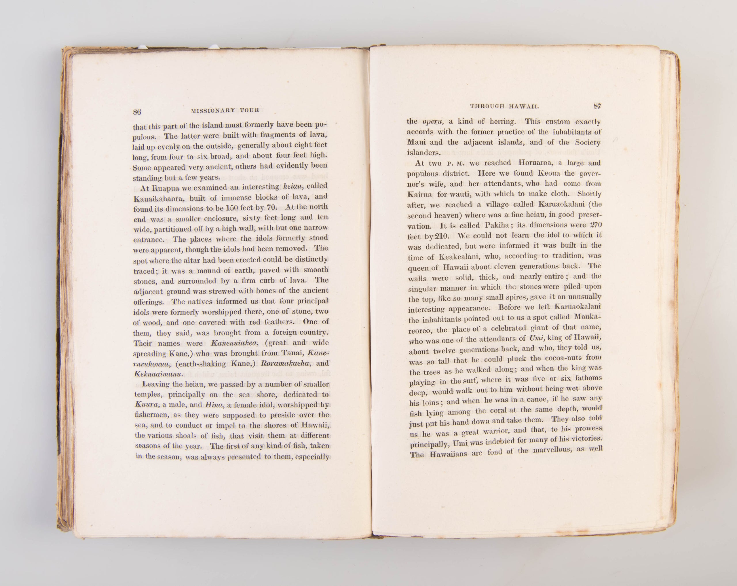 Narrative of a Tour Through Hawaii, or, Owhyhee;