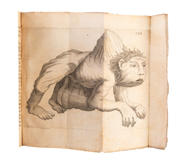 Lettres de G. Desnoues, Professeur d'Anatomie & de Chirurgie.