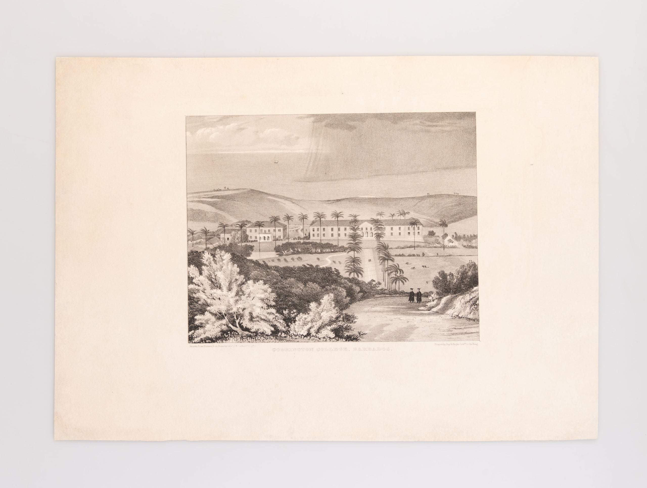 Views in the Island of Barbados, West Indies, On Stone, from Drawings taken in the early part of the Year 1835 by Lieut. J.M. Carter.