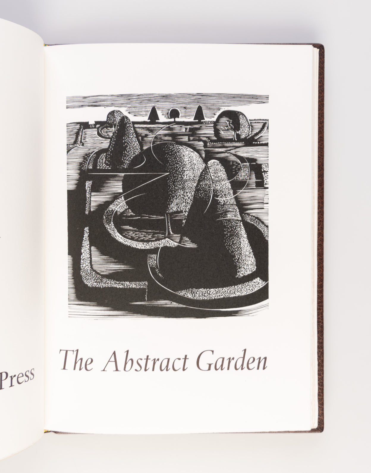 Abstract Garden