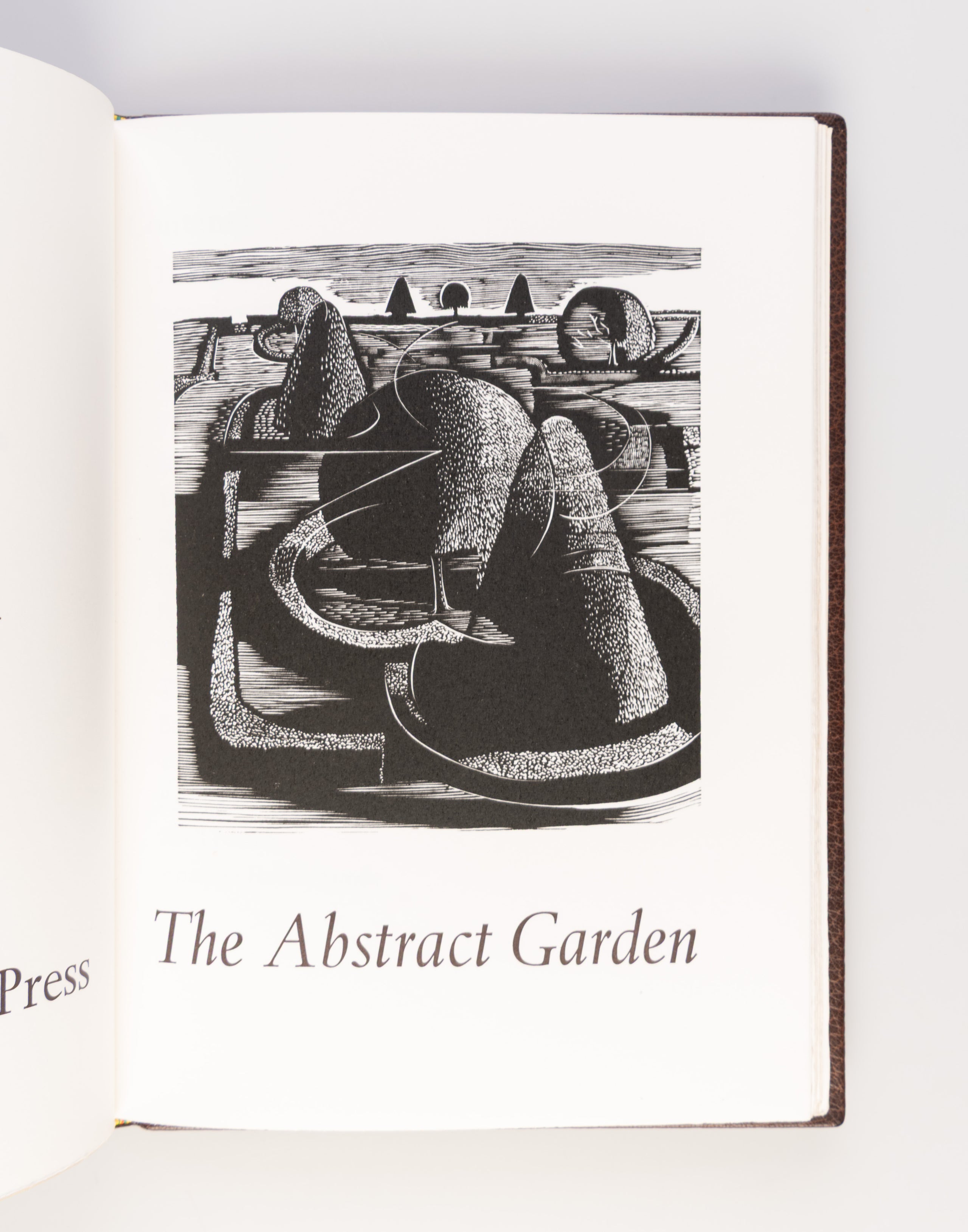 Abstract Garden