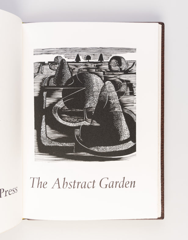 Abstract Garden