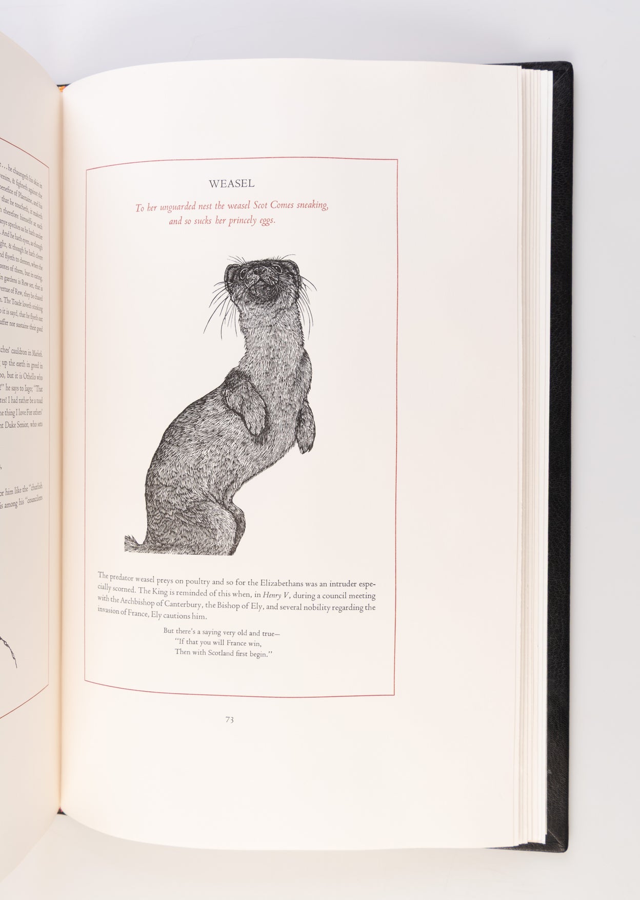 Birds and Beasts of Shakespeare
