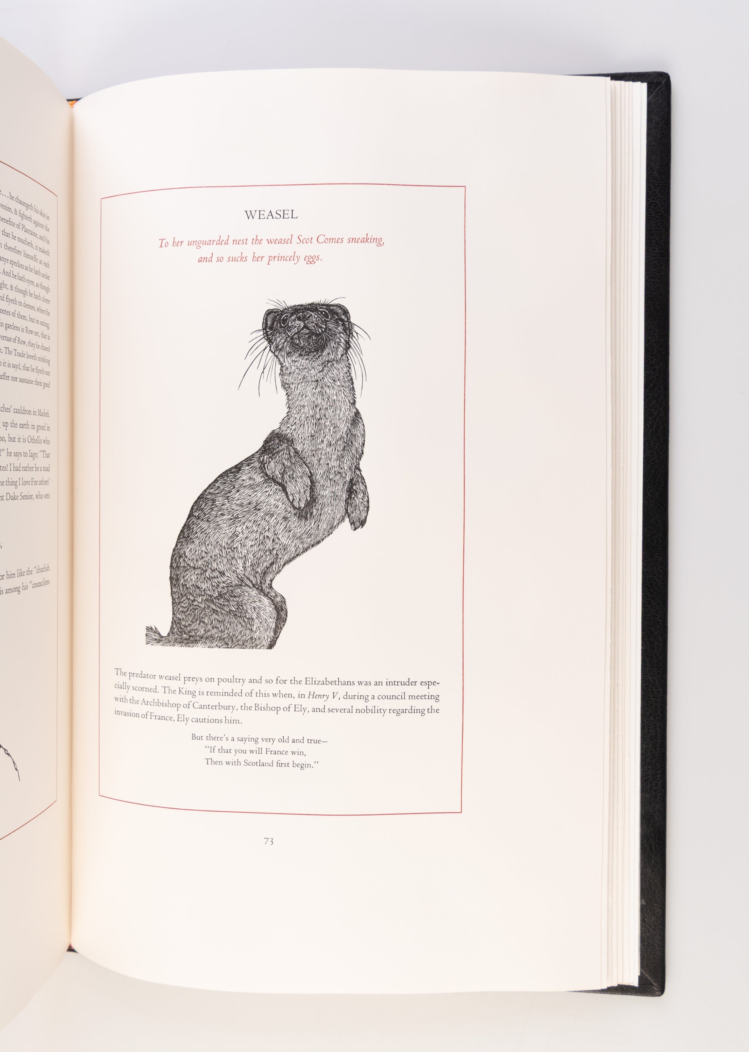 Birds and Beasts of Shakespeare