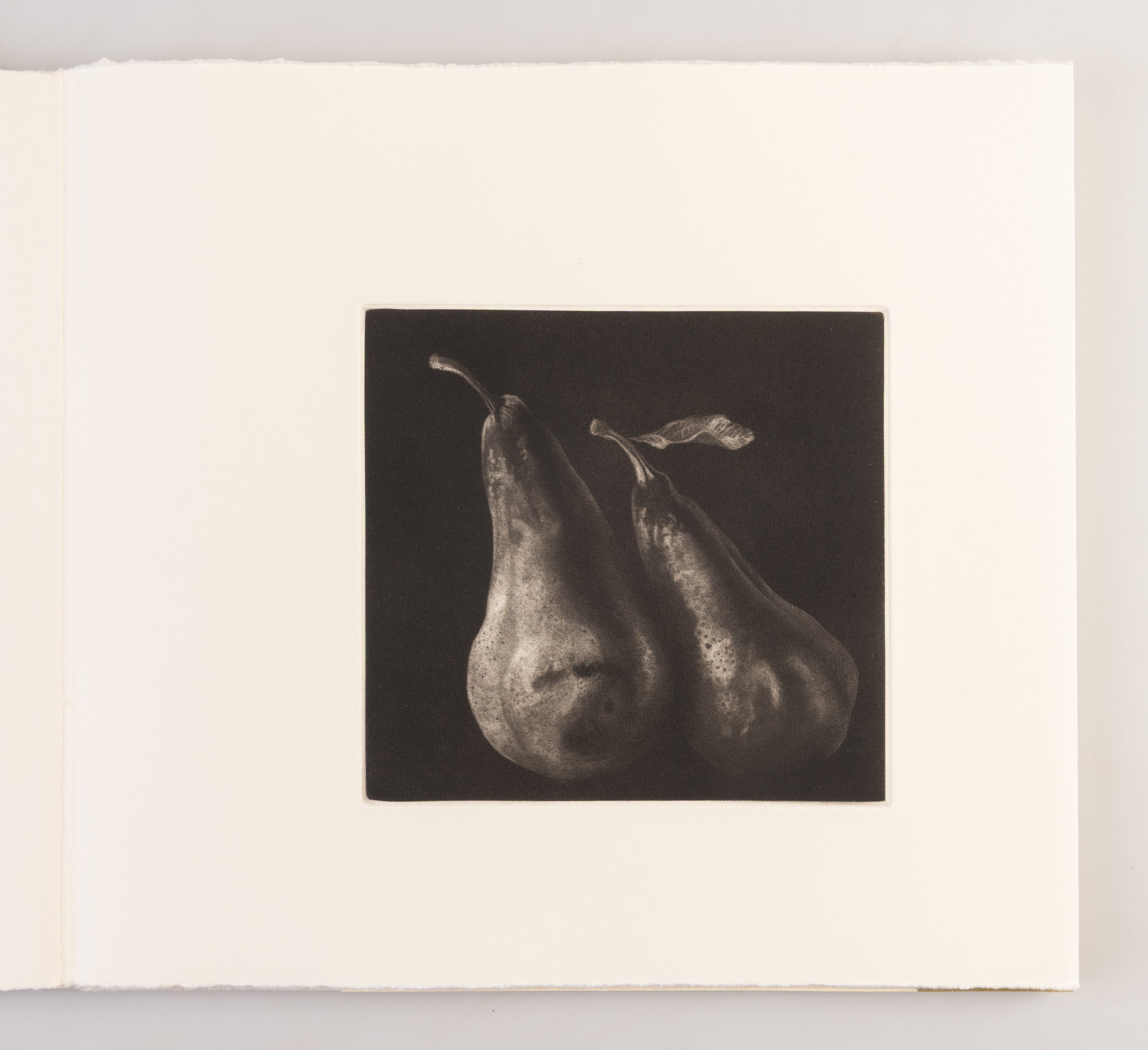 Study of Two Pears / Etude de Deux Poires