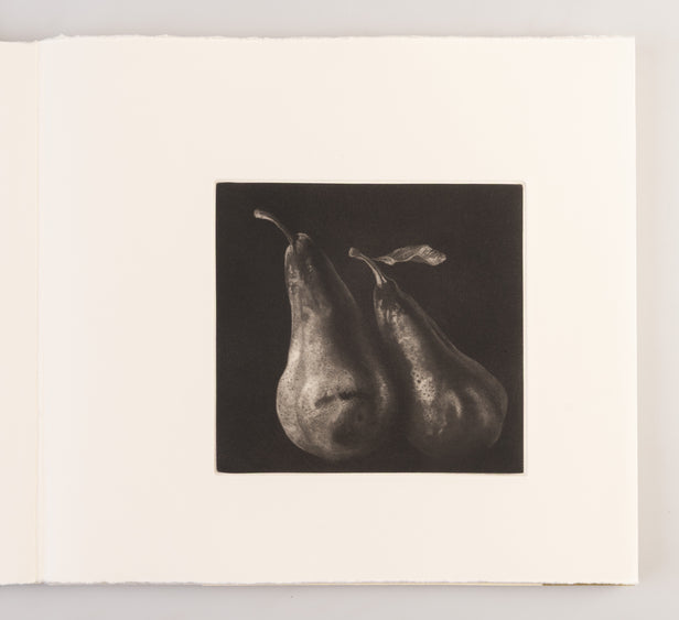 Study of Two Pears / Etude de Deux Poires