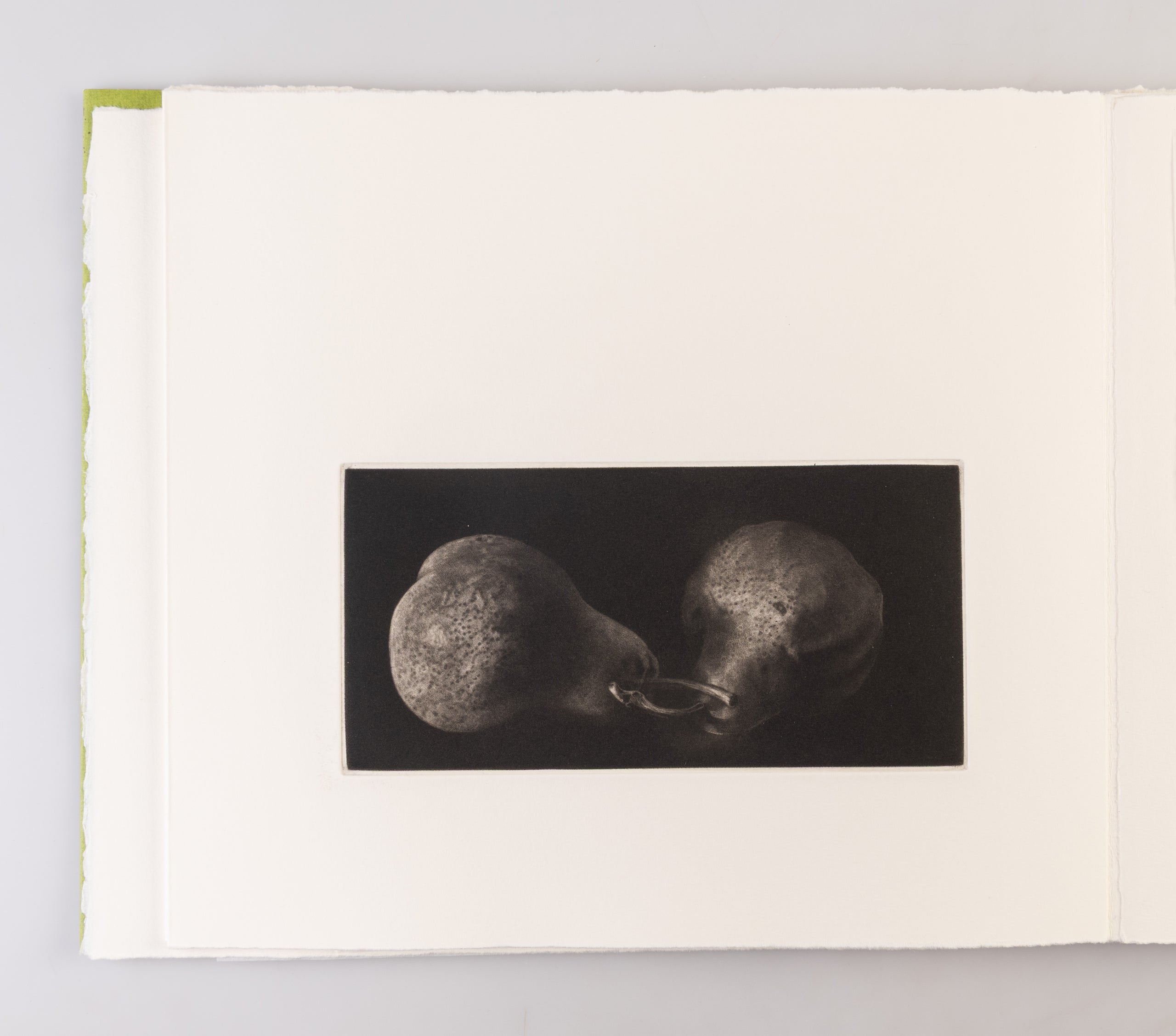 Study of Two Pears / Etude de Deux Poires