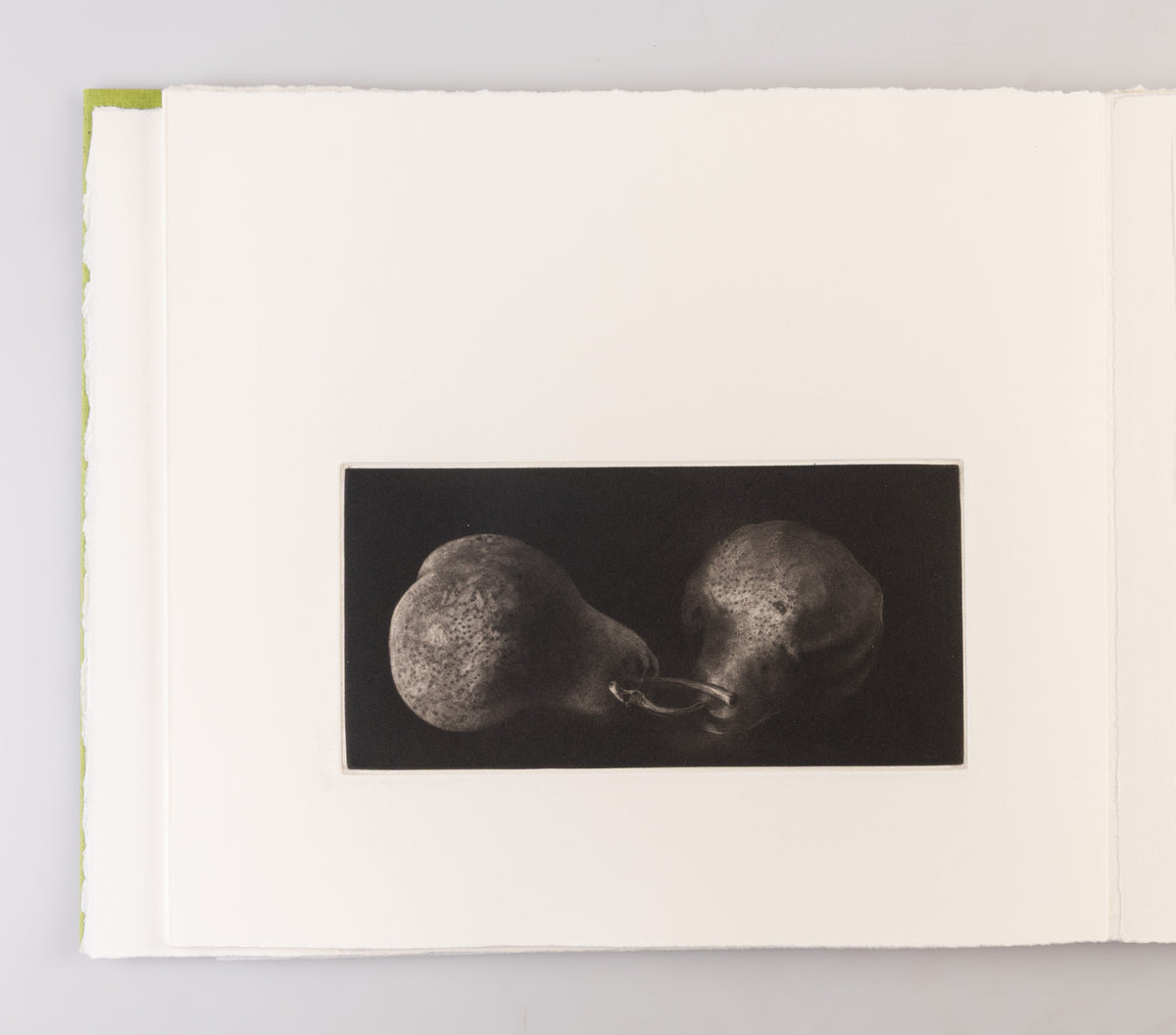 Study of Two Pears / Etude de Deux Poires