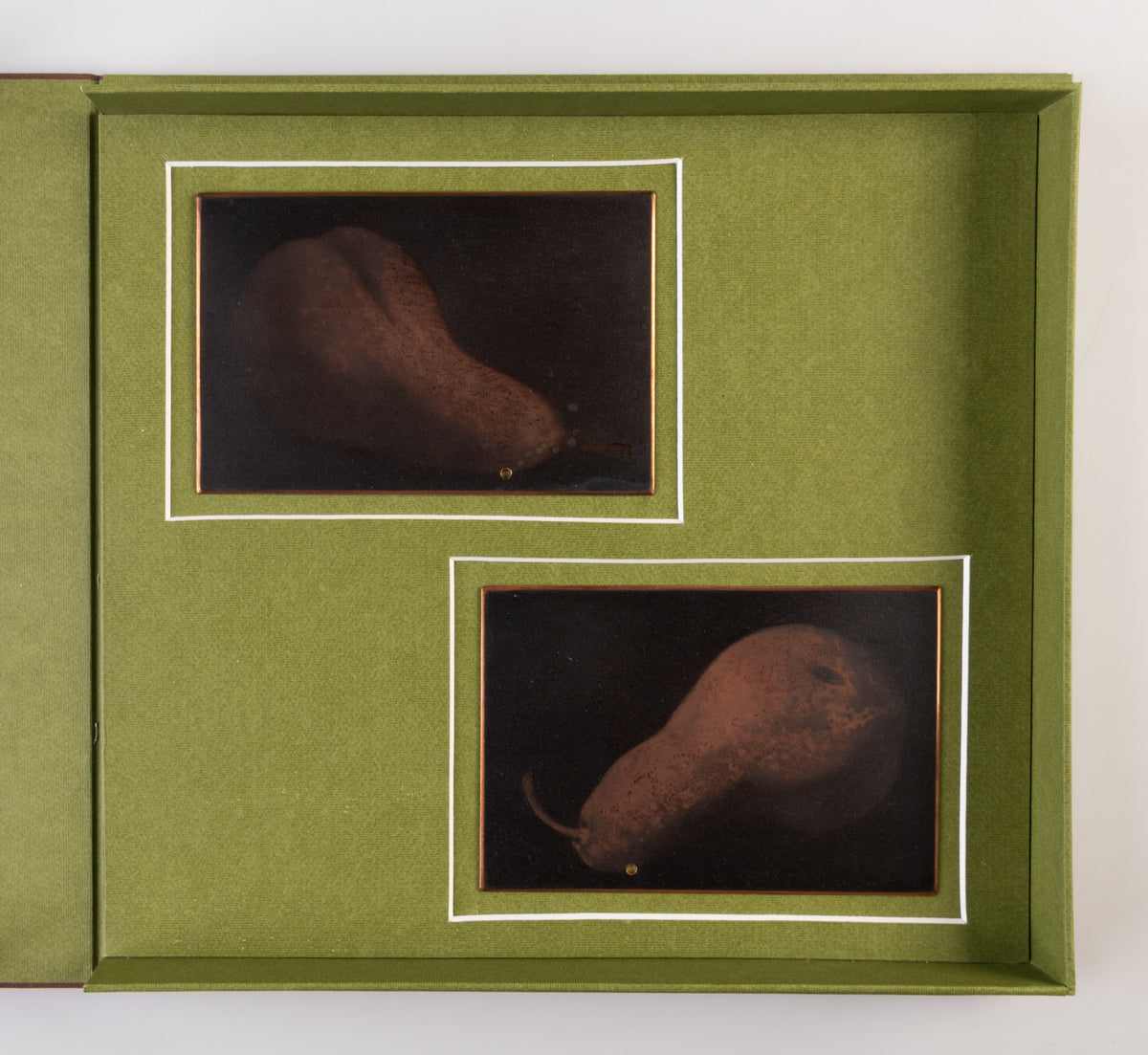 Study of Two Pears / Etude de Deux Poires