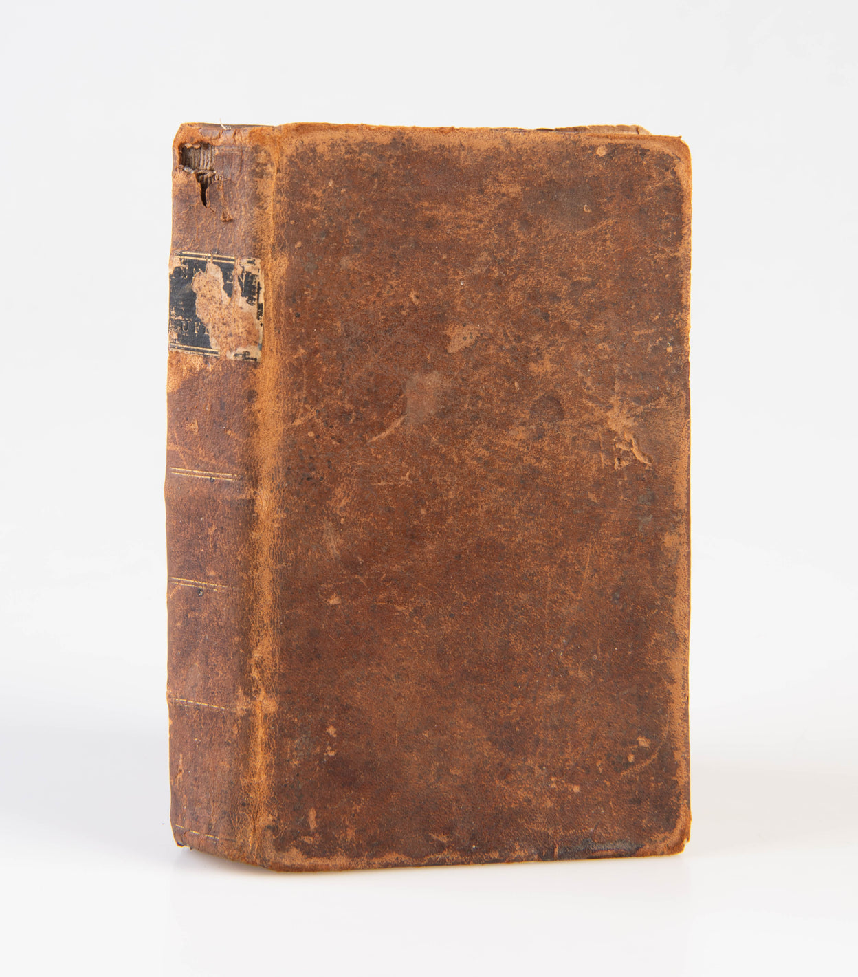 Female Friendship, Or the Innocent Sufferer.