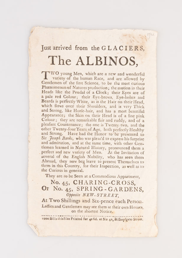Just arrived from the Glaciers. The Albinos, two young men, which are a new and wonderful variety of the human race ...