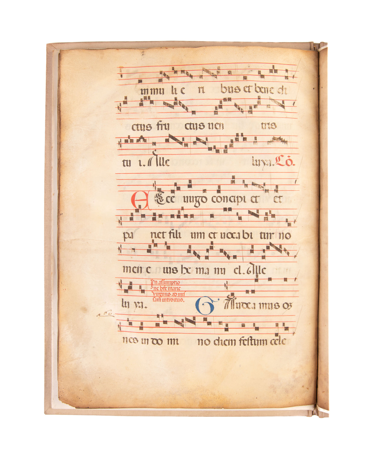 Manuscript leaves on vellum from a Gradual.
Italy, c. 1450