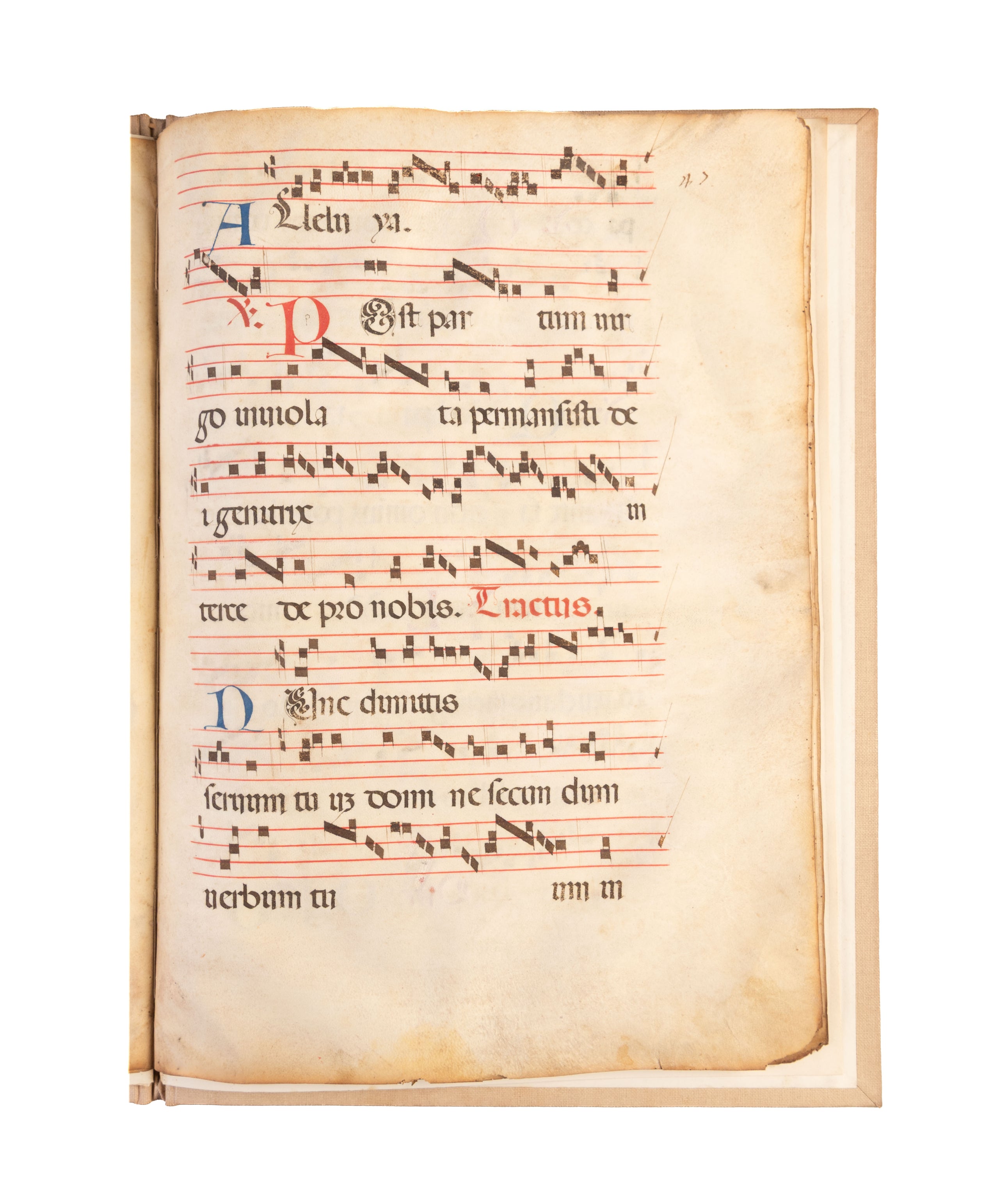Manuscript leaves on vellum from a Gradual.
Italy, c. 1450