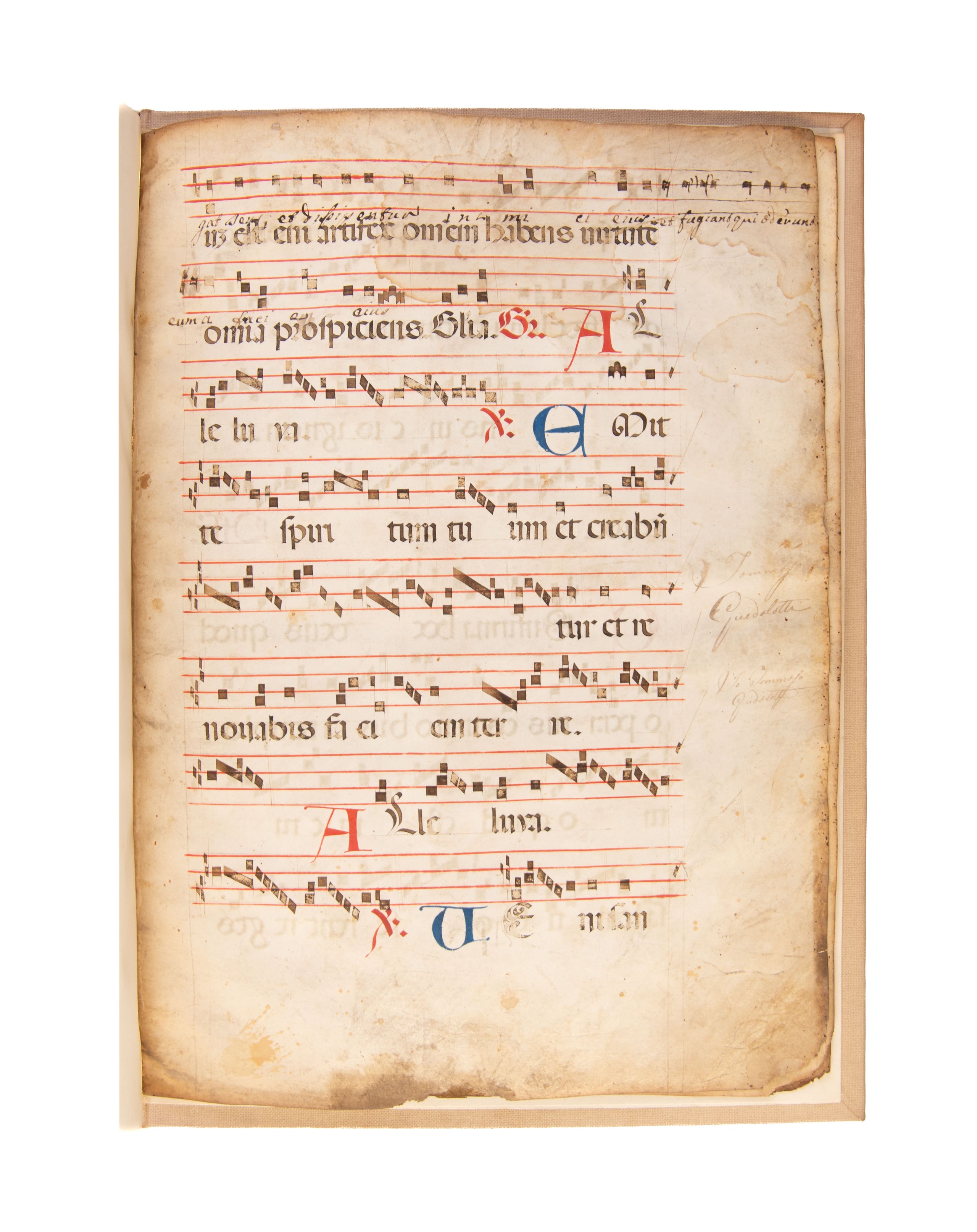 Manuscript leaves on vellum from a Gradual.
Italy, c. 1450