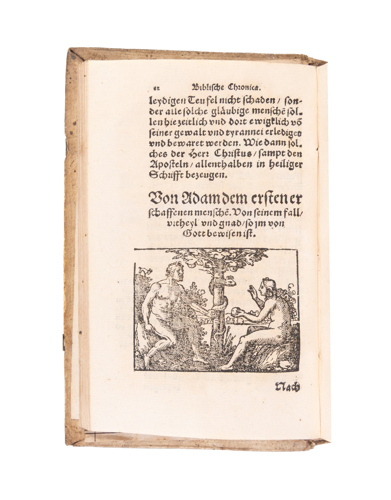 Biblische Chronica, darinn die fürtrefliche Geschicht der heiligen Patriarchen, Propheten, hohen Priester, Fürsten, Richter und Könige des Hauses Juda unnd Israel, auch allerley merckliche Historien, nit allein ordenlich verfasst, sonder auch