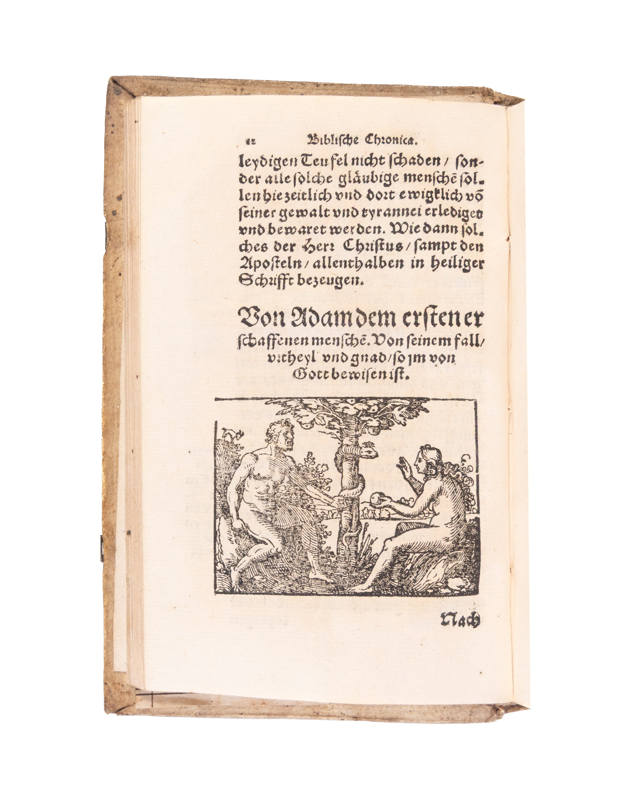 Biblische Chronica, darinn die fürtrefliche Geschicht der heiligen Patriarchen, Propheten, hohen Priester, Fürsten, Richter und Könige des Hauses Juda unnd Israel, auch allerley merckliche Historien, nit allein ordenlich verfasst, sonder auch