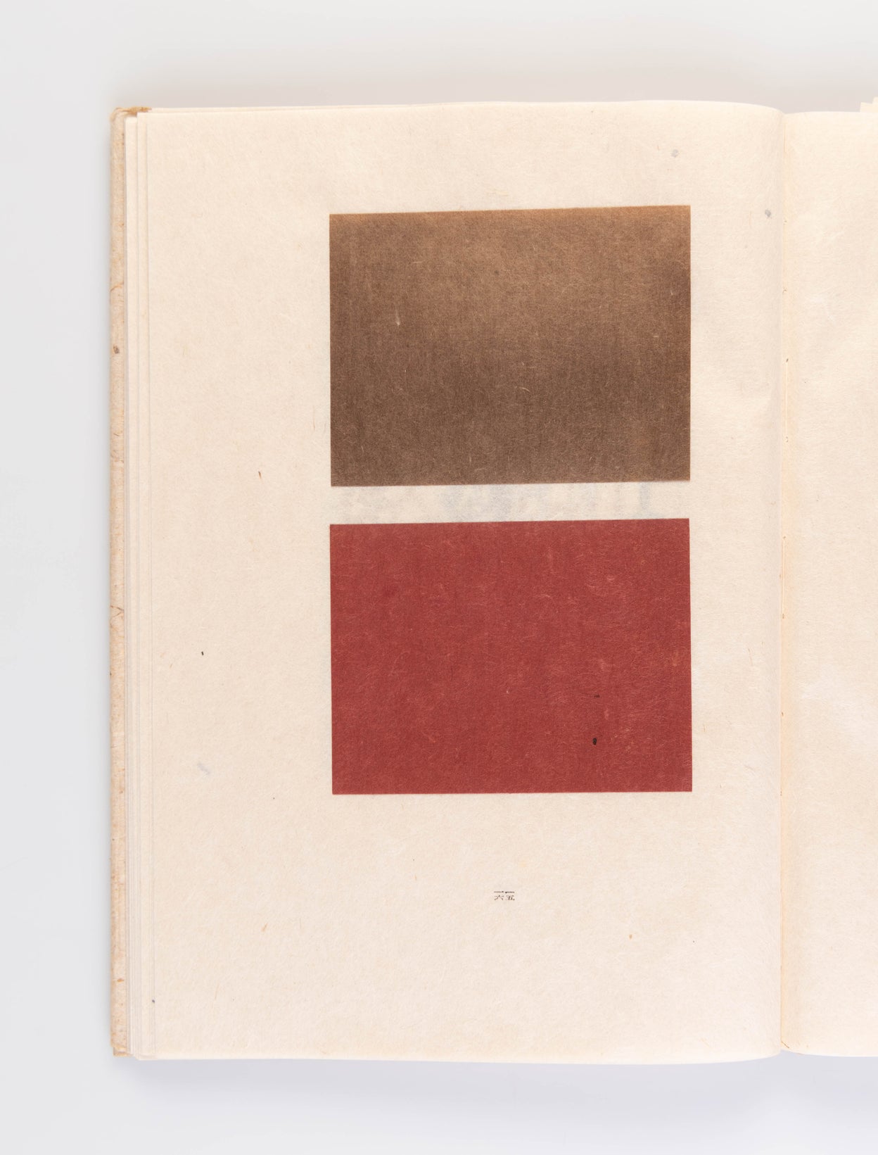 Washi no Bi [The Beauty of Japanese Paper]