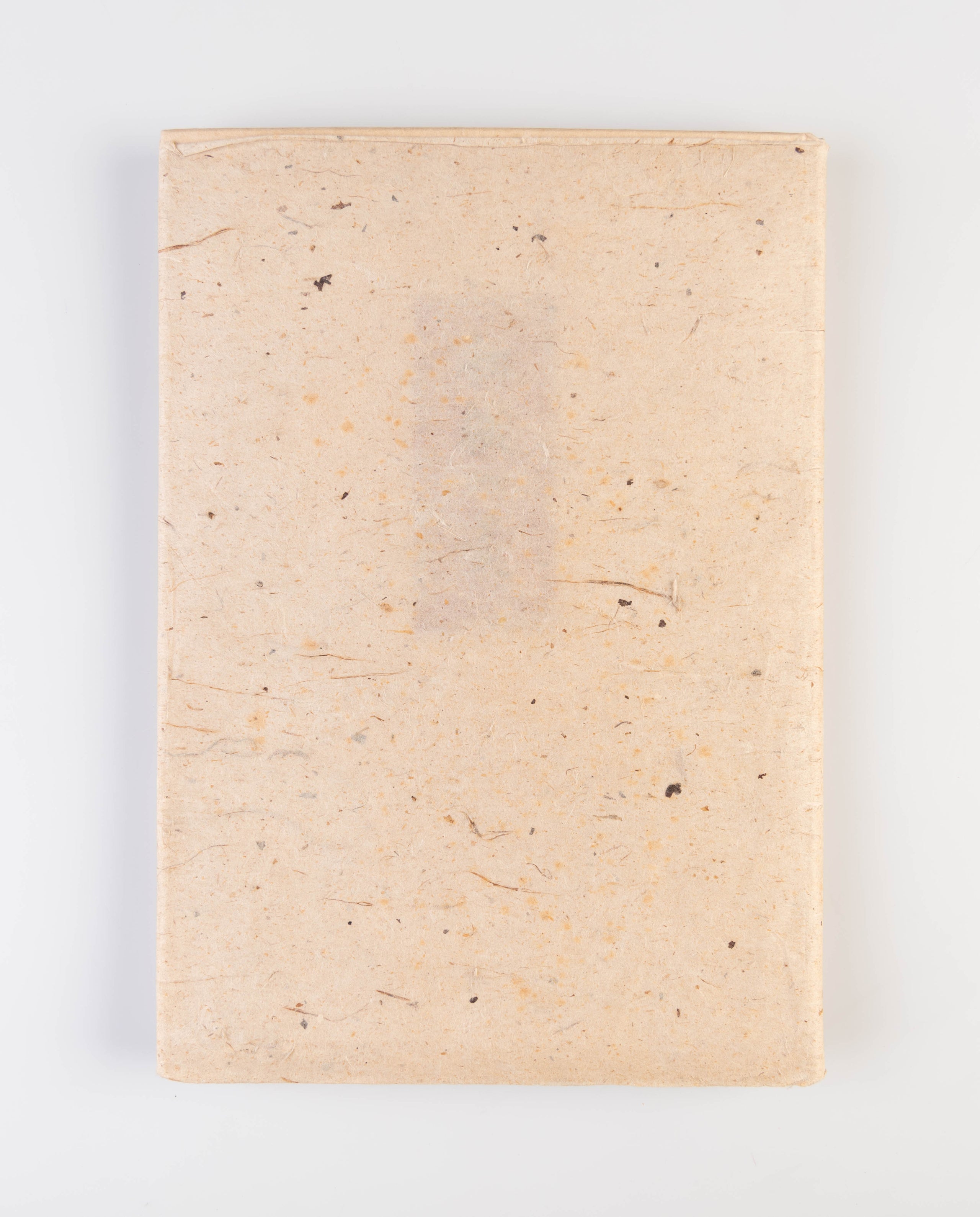 Washi no Bi [The Beauty of Japanese Paper]