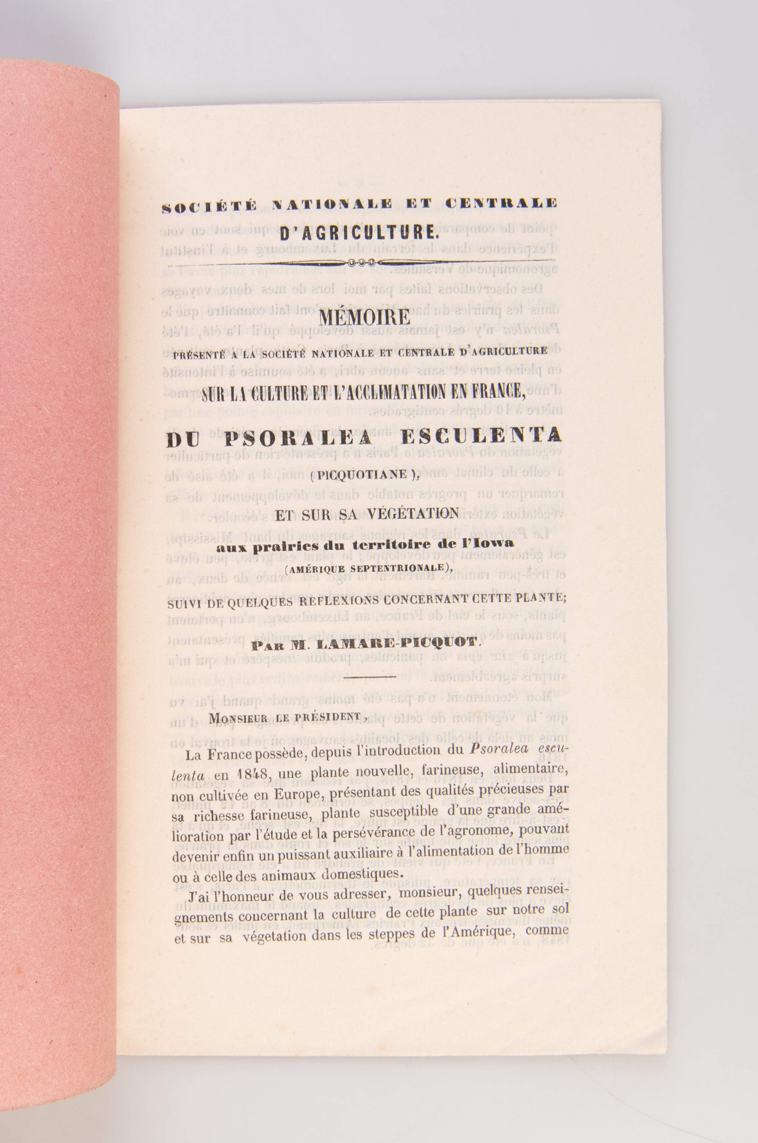 Mémoire ... du Psoralea Esculenta (Picquotaine), et sur sa végétation aux prairies du territoire de l'Iowa.