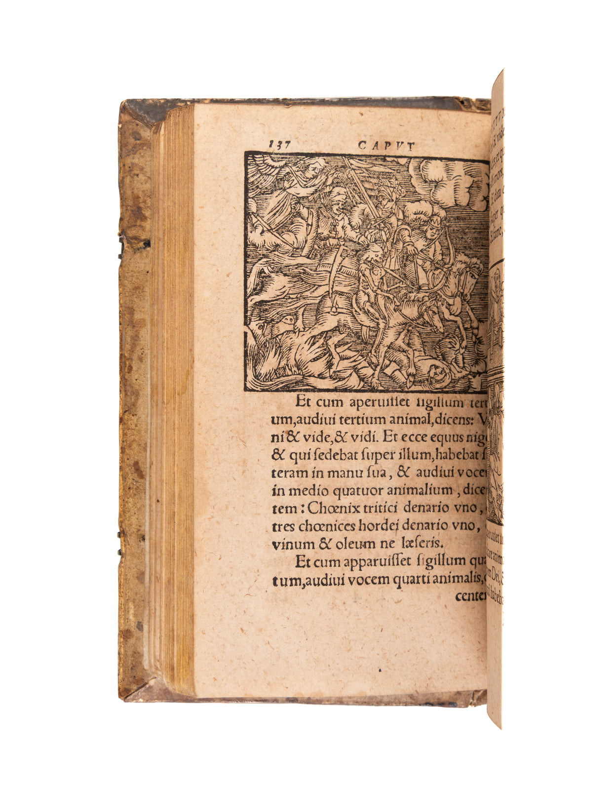 Explicatio Apocalypsis Iohannis Perspicua & brevis