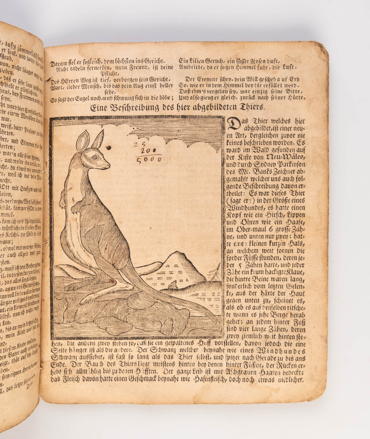 Der Hoch-Deutsch Americanische Calender ... 1775.