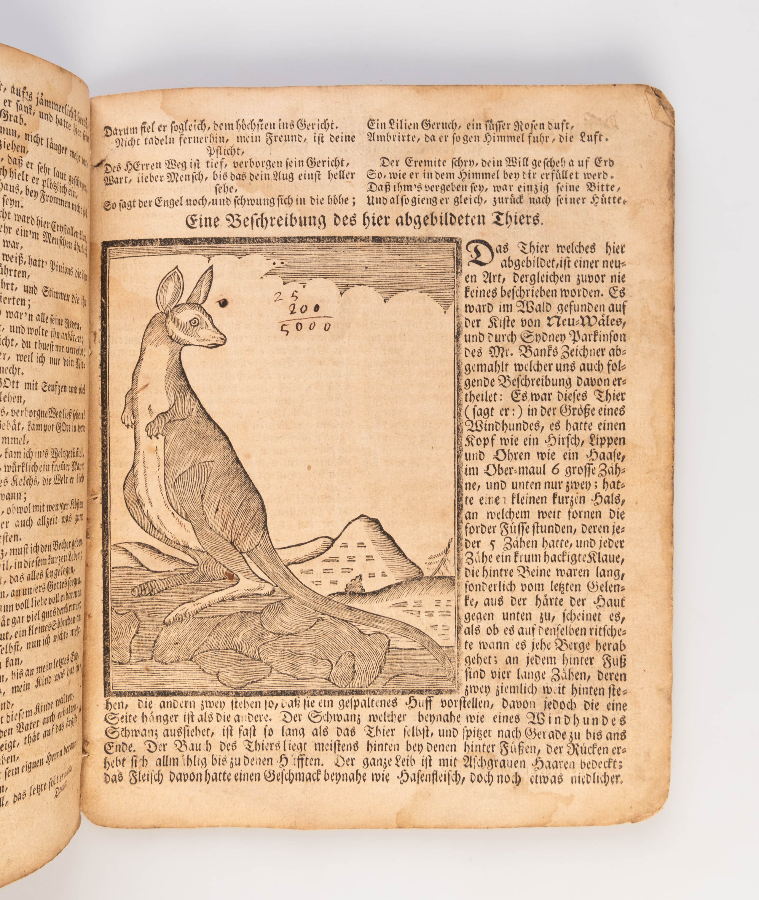 Der Hoch-Deutsch Americanische Calender ... 1775.