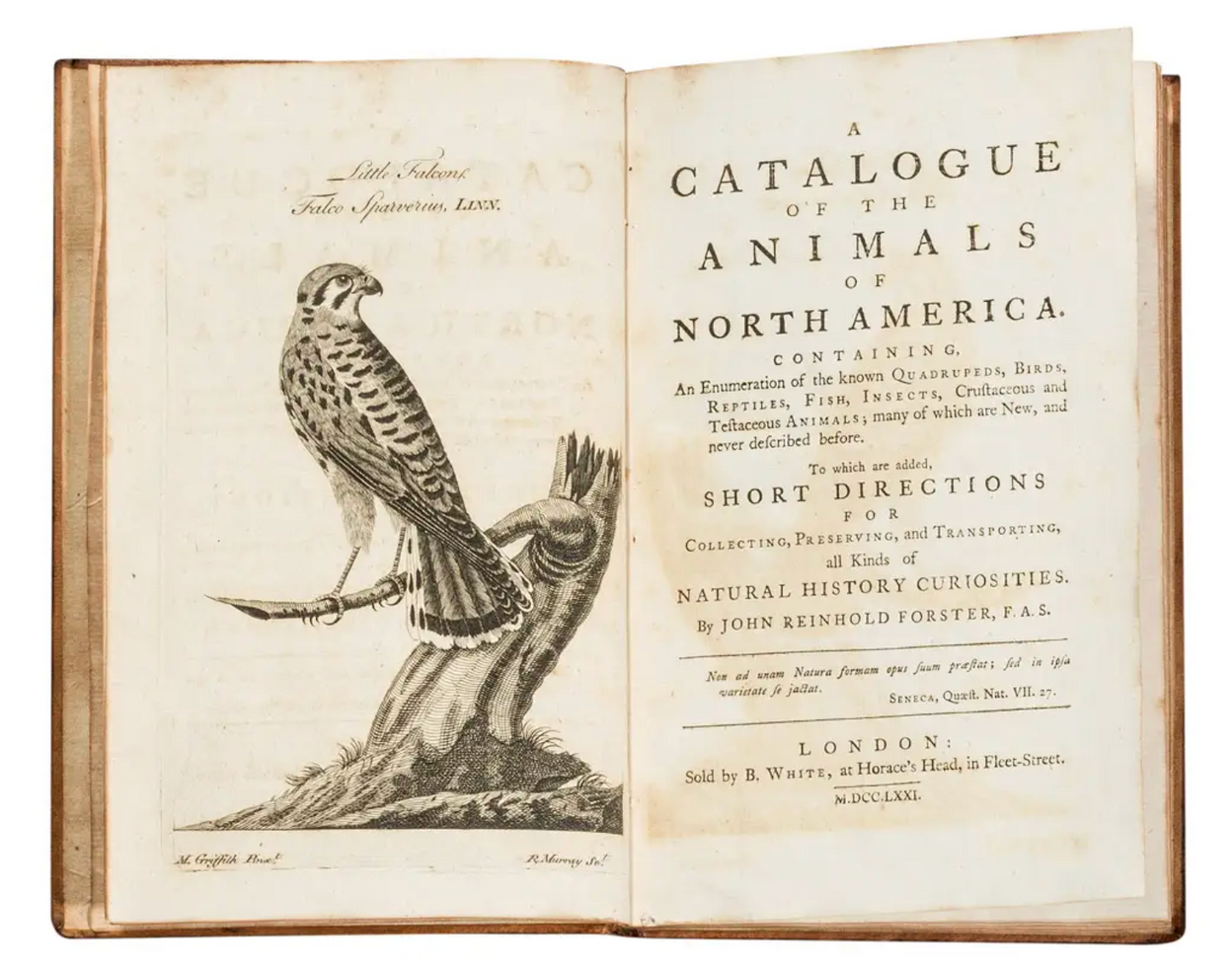 A Catalogue of the Animals of North America.