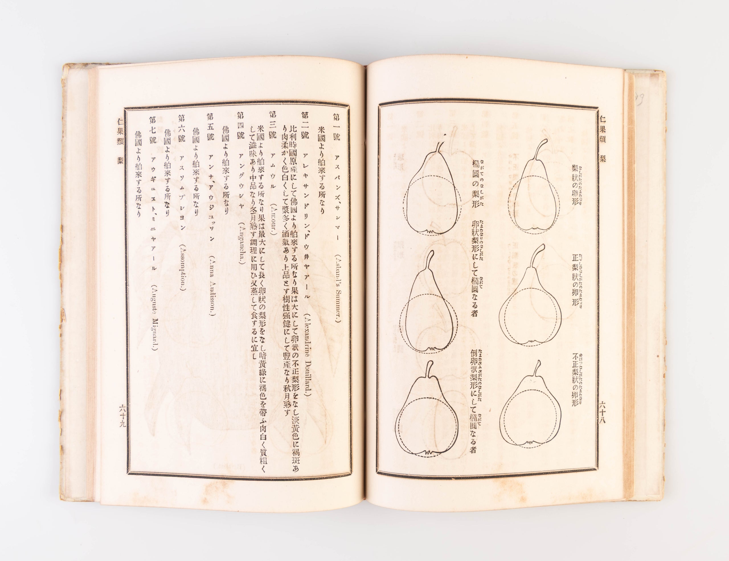 Hakurai kaju yoran [Handbook of Foreign Fruits].