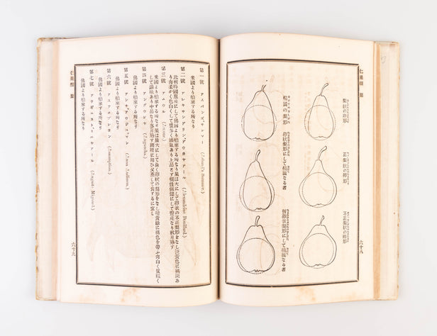Hakurai kaju yoran [Handbook of Foreign Fruits].