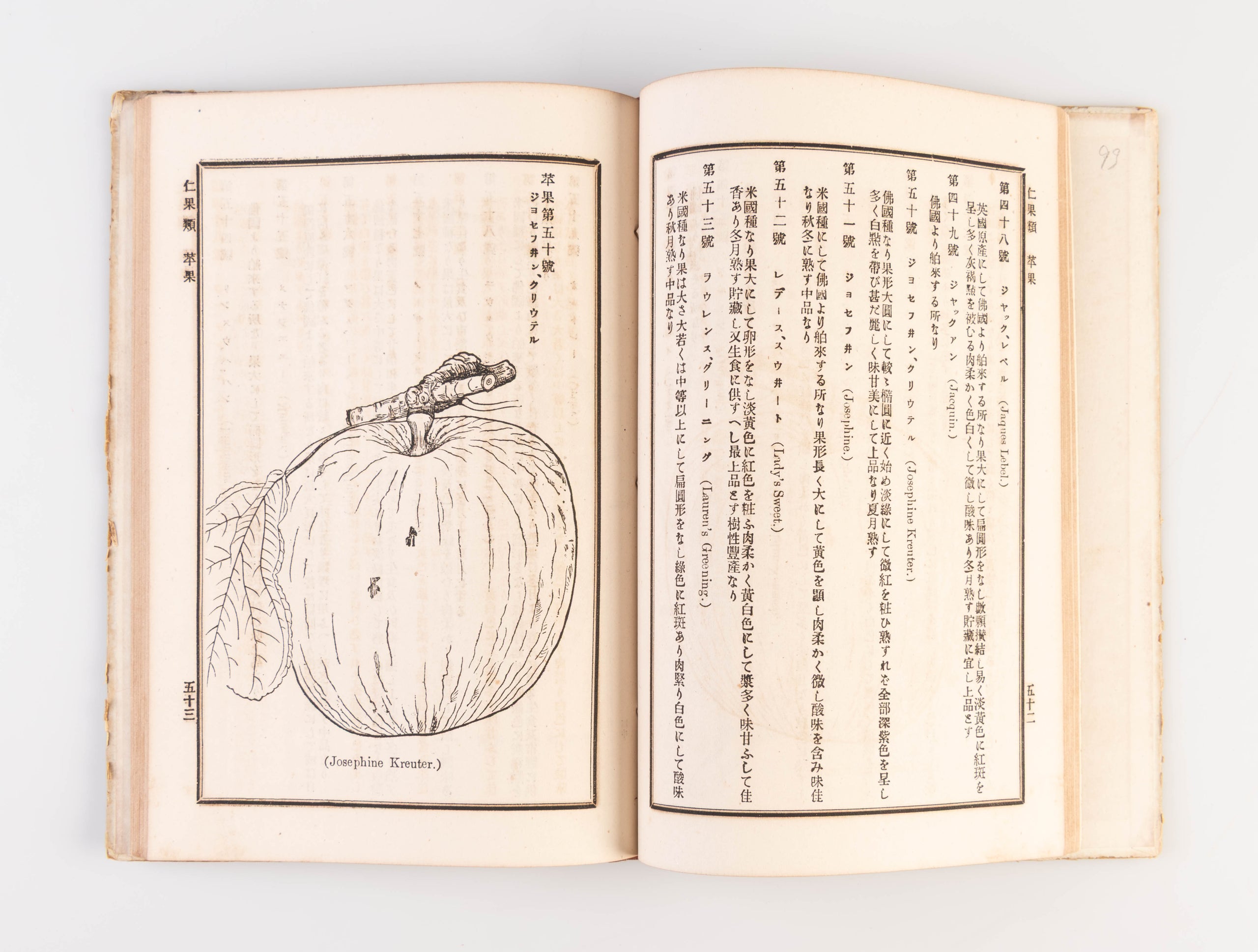 Hakurai kaju yoran [Handbook of Foreign Fruits].